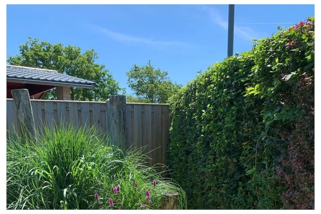 637765-Nicht zugeordnet