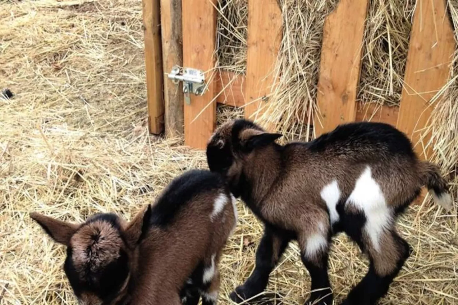 Domaine des Bories ****-Image-tags.