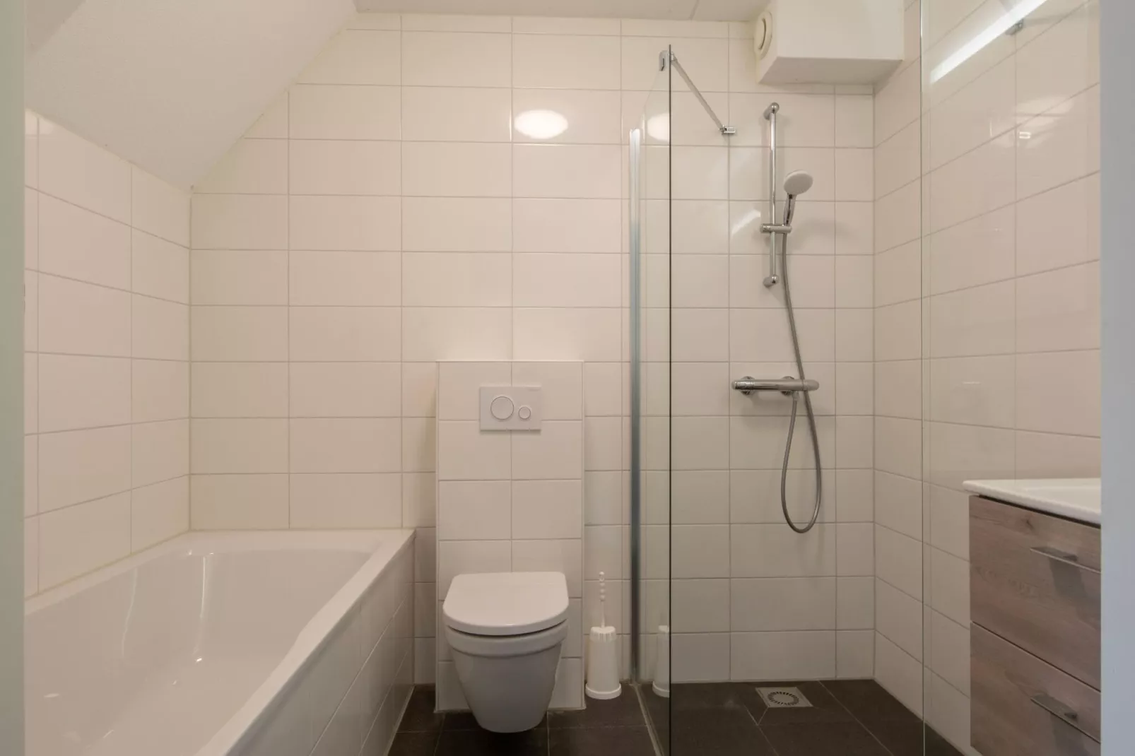 Vakantiepark de Soeten Haert 16-Badezimmer
