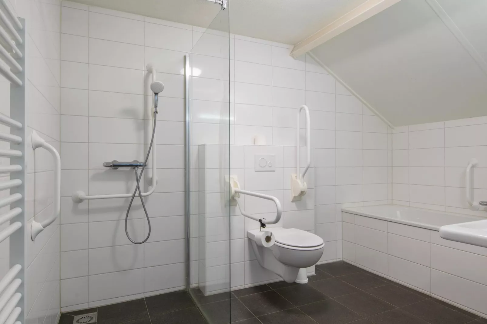 Vakantiepark de Soeten Haert 17-Badezimmer
