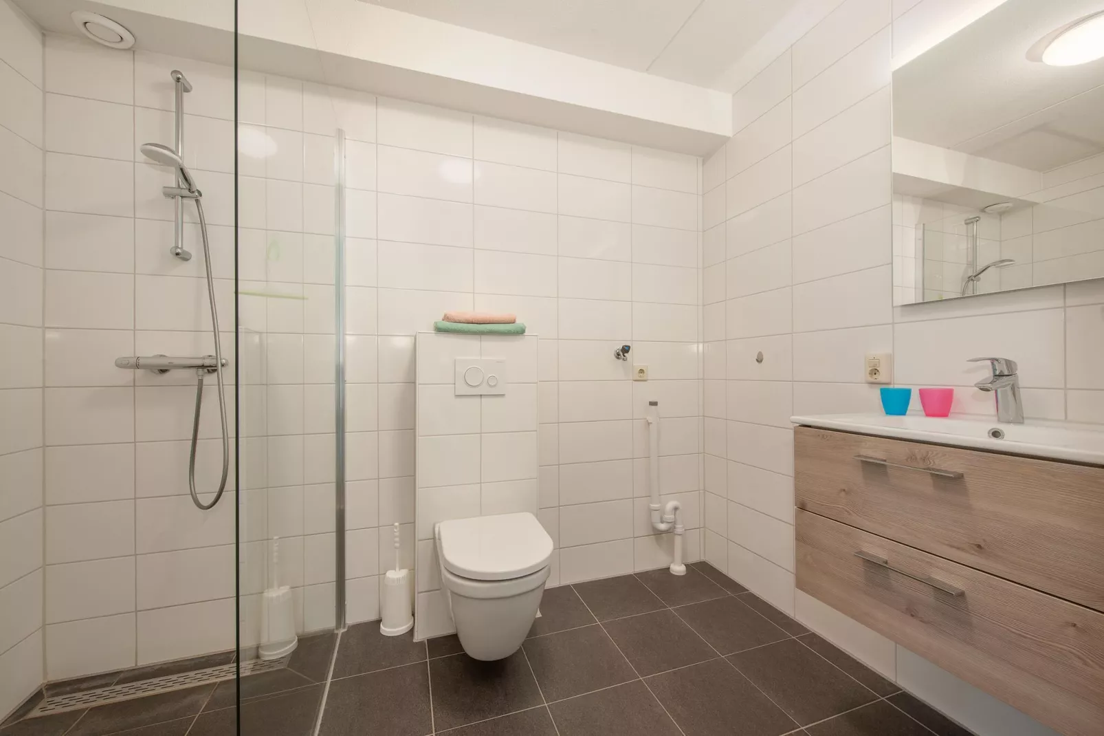 Vakantiepark de Soeten Haert 19-Bathroom