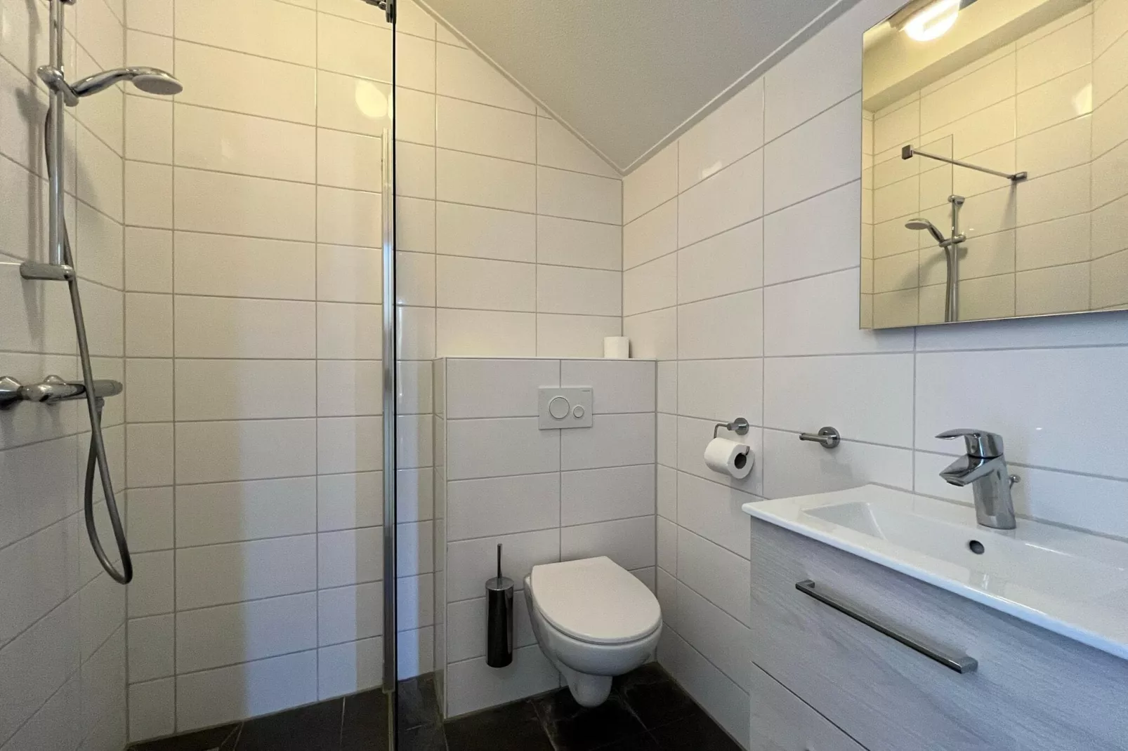 Vakantiepark Hof Domburg 10-Bathroom