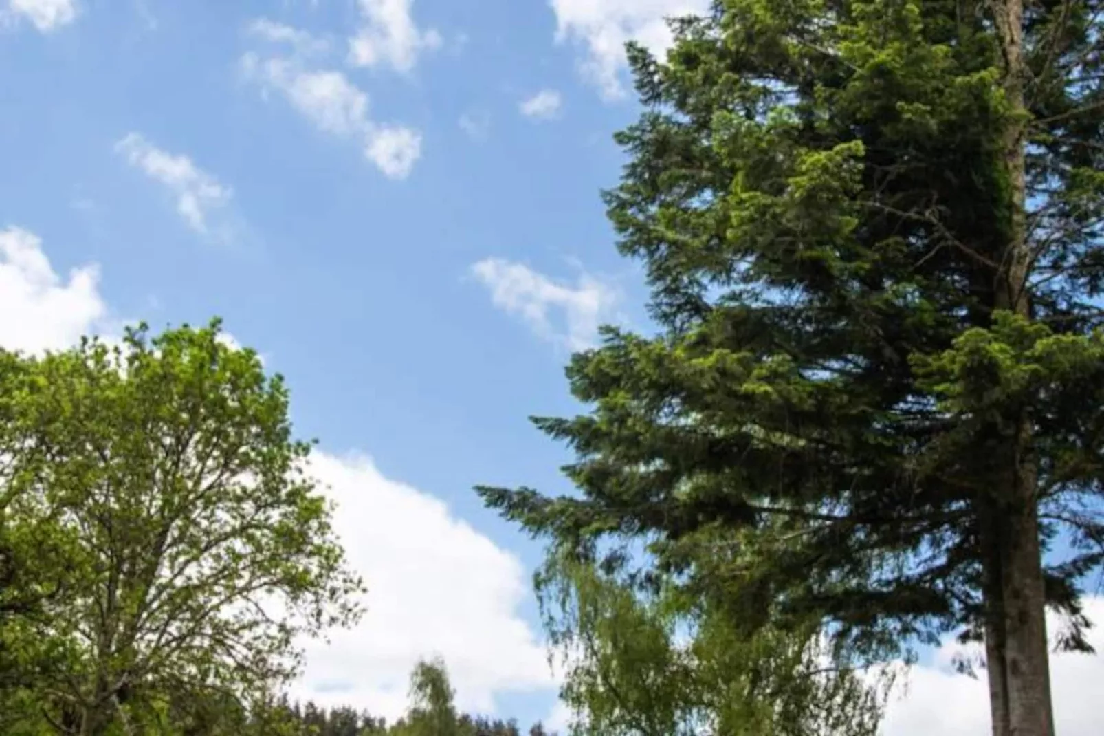 Gîte de France Gîtes de france 24 personnes - domaine de coulagnettes 3 épis-Image-tags.