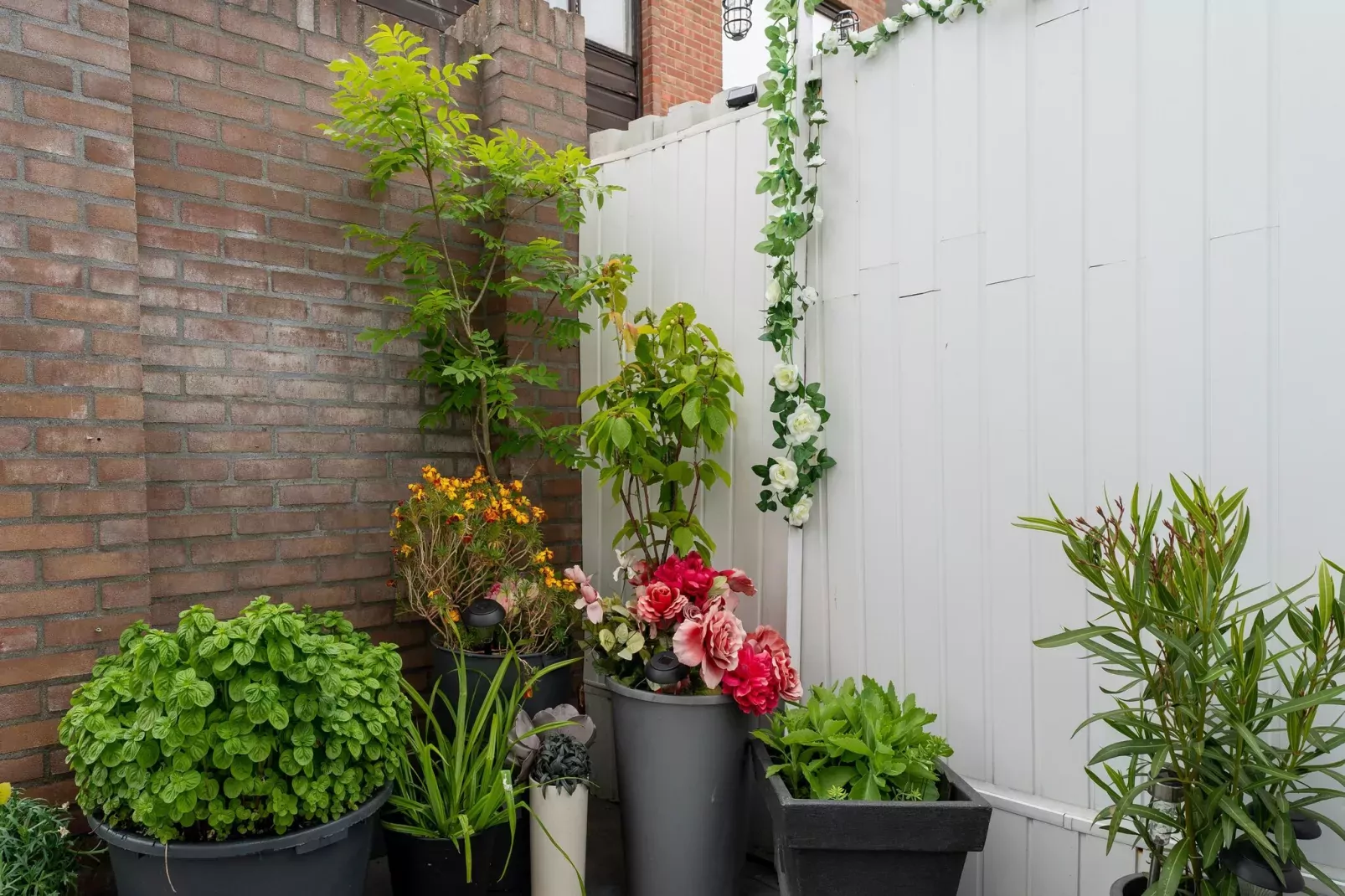 Vakantiewoning Aarab-Gardens summer