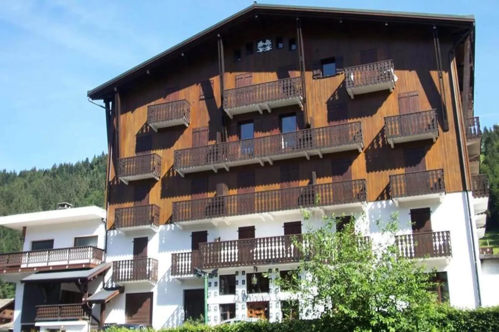 Résidence L'edelweiss-Exterior in summer