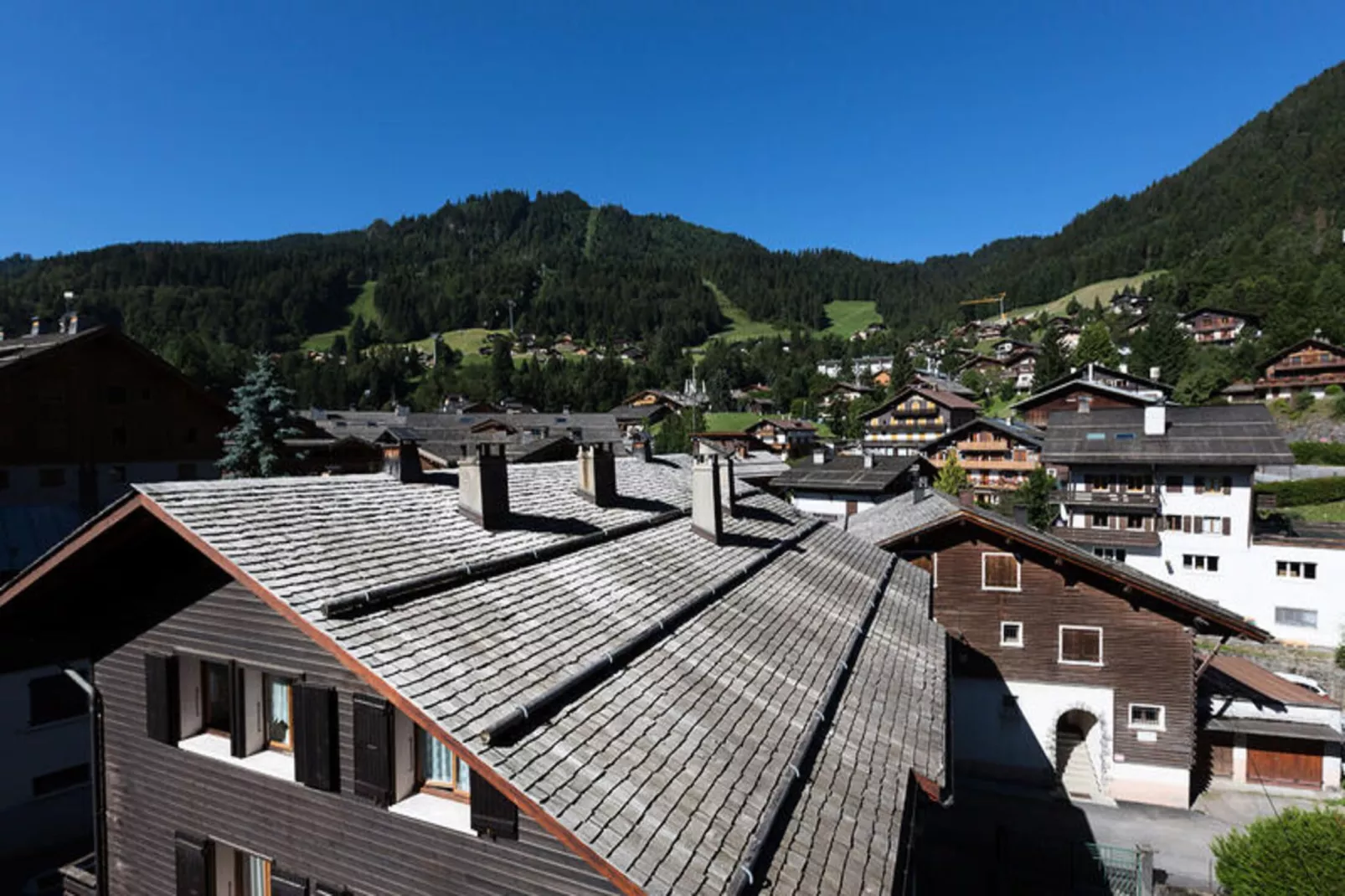 Résidence Gentianes-Vue d'été