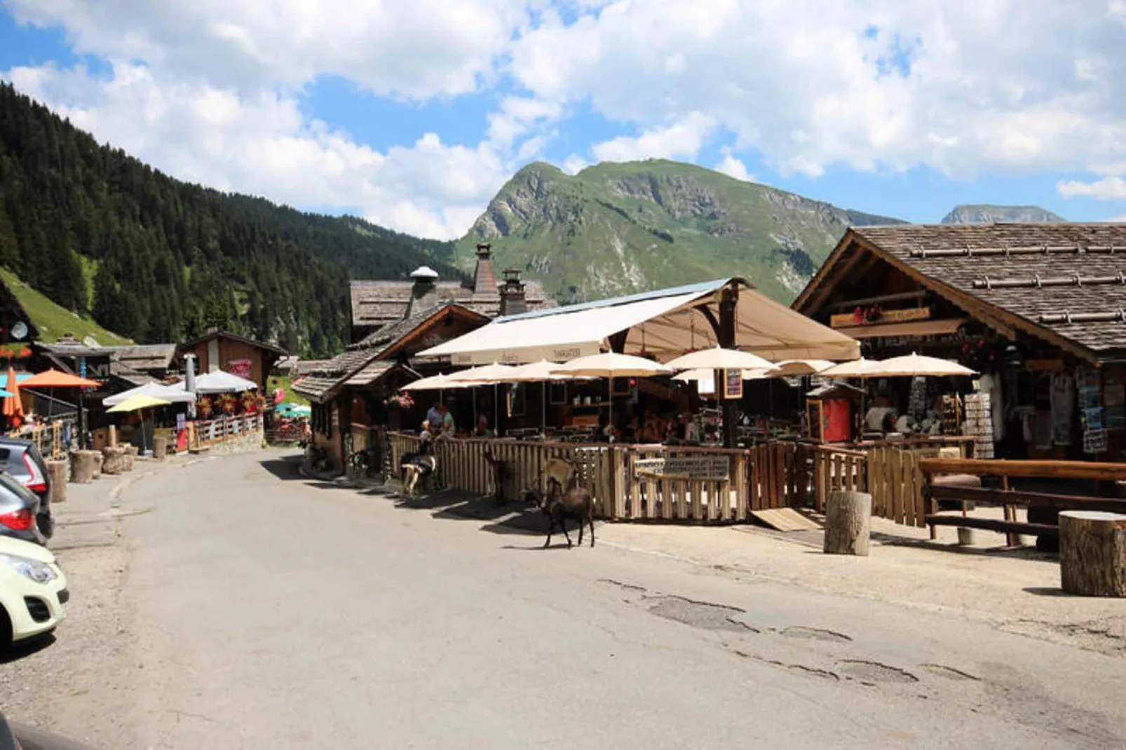 Appartements à Montriond-Gebiete Sommer 1 km