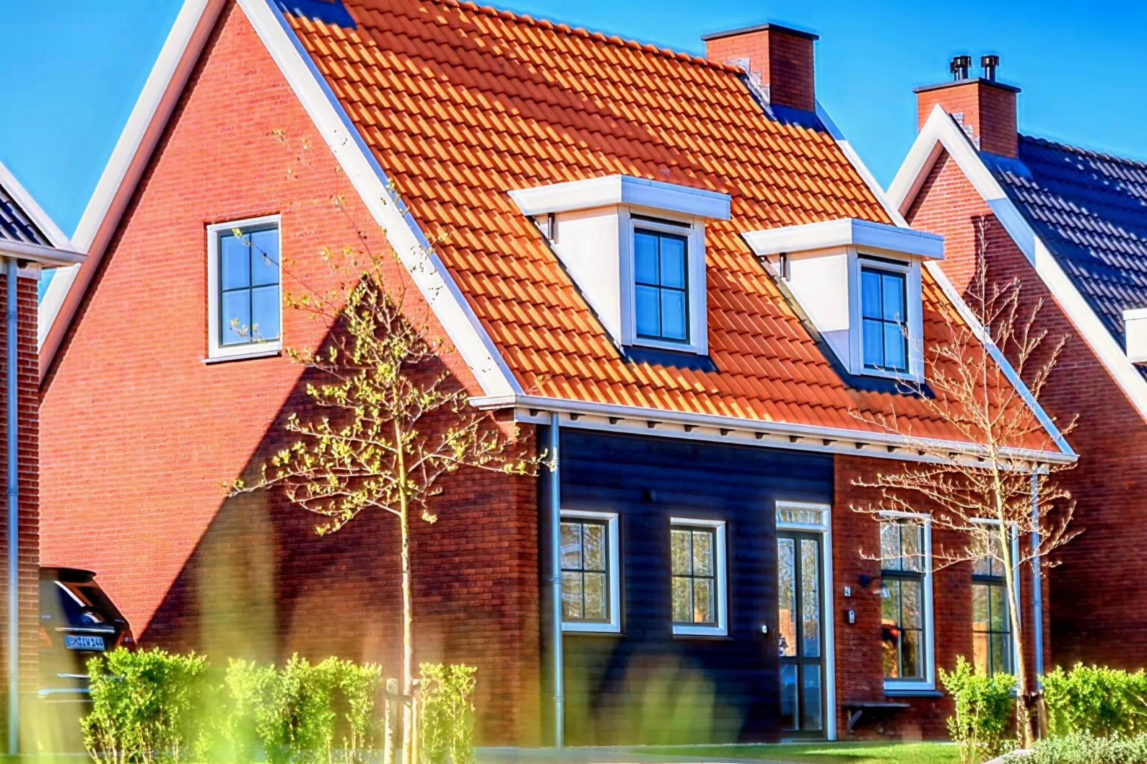 Zeeuwse Pracht Kindervilla-Exterior summer