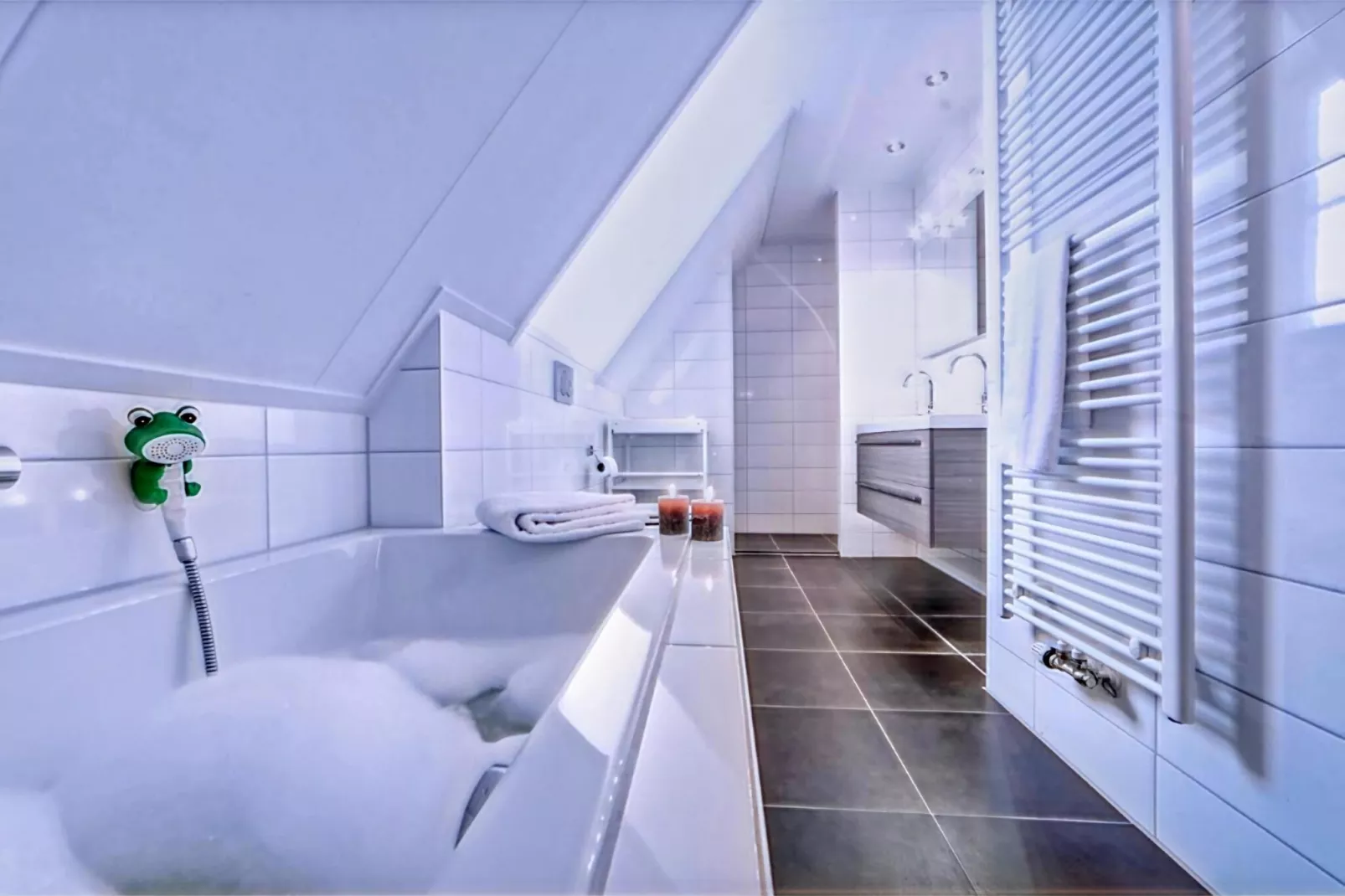 Zeeuwse Pracht Kindervilla-Bathroom