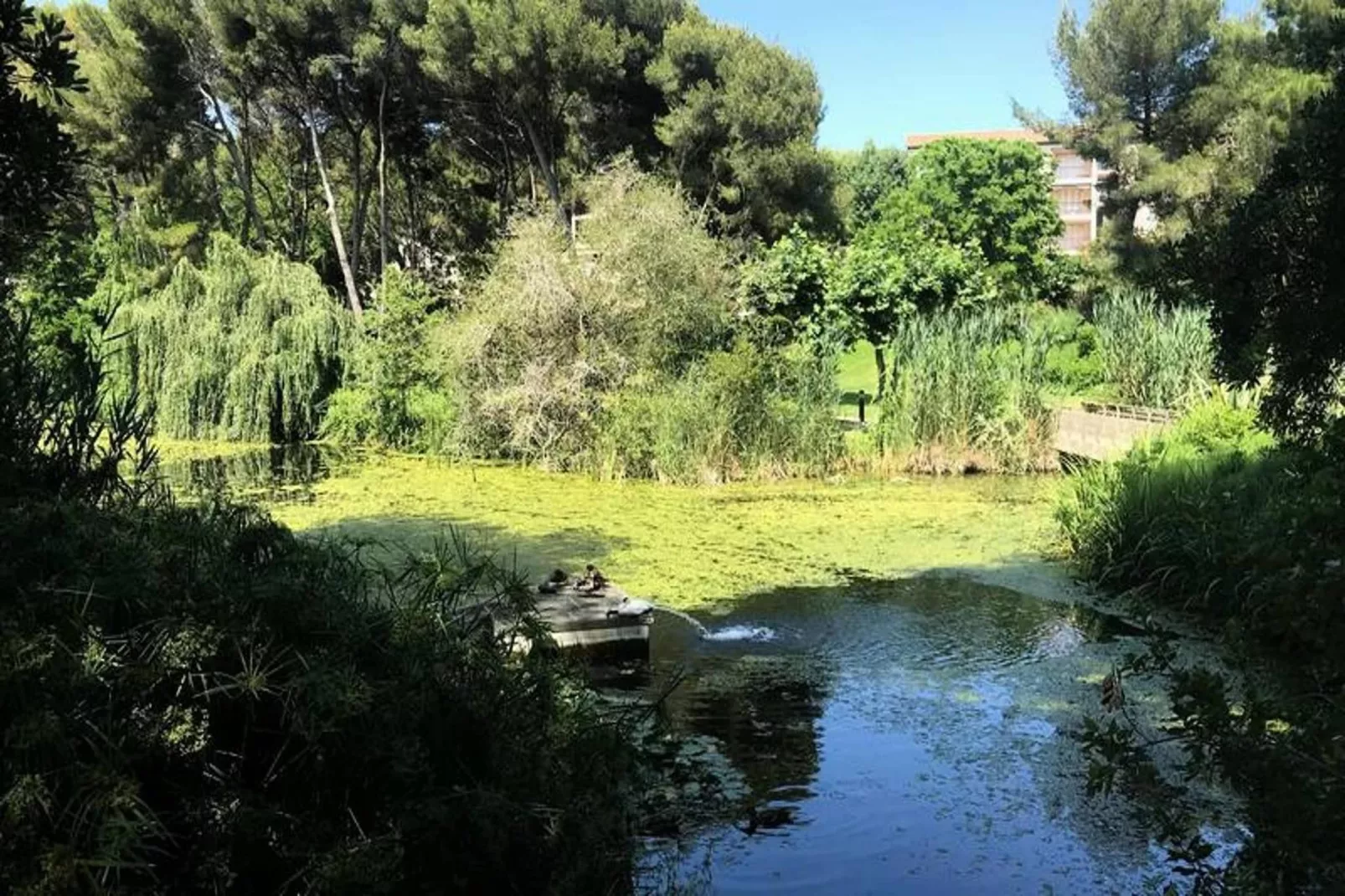 Résidence Alisier-Areas within 5km in summer