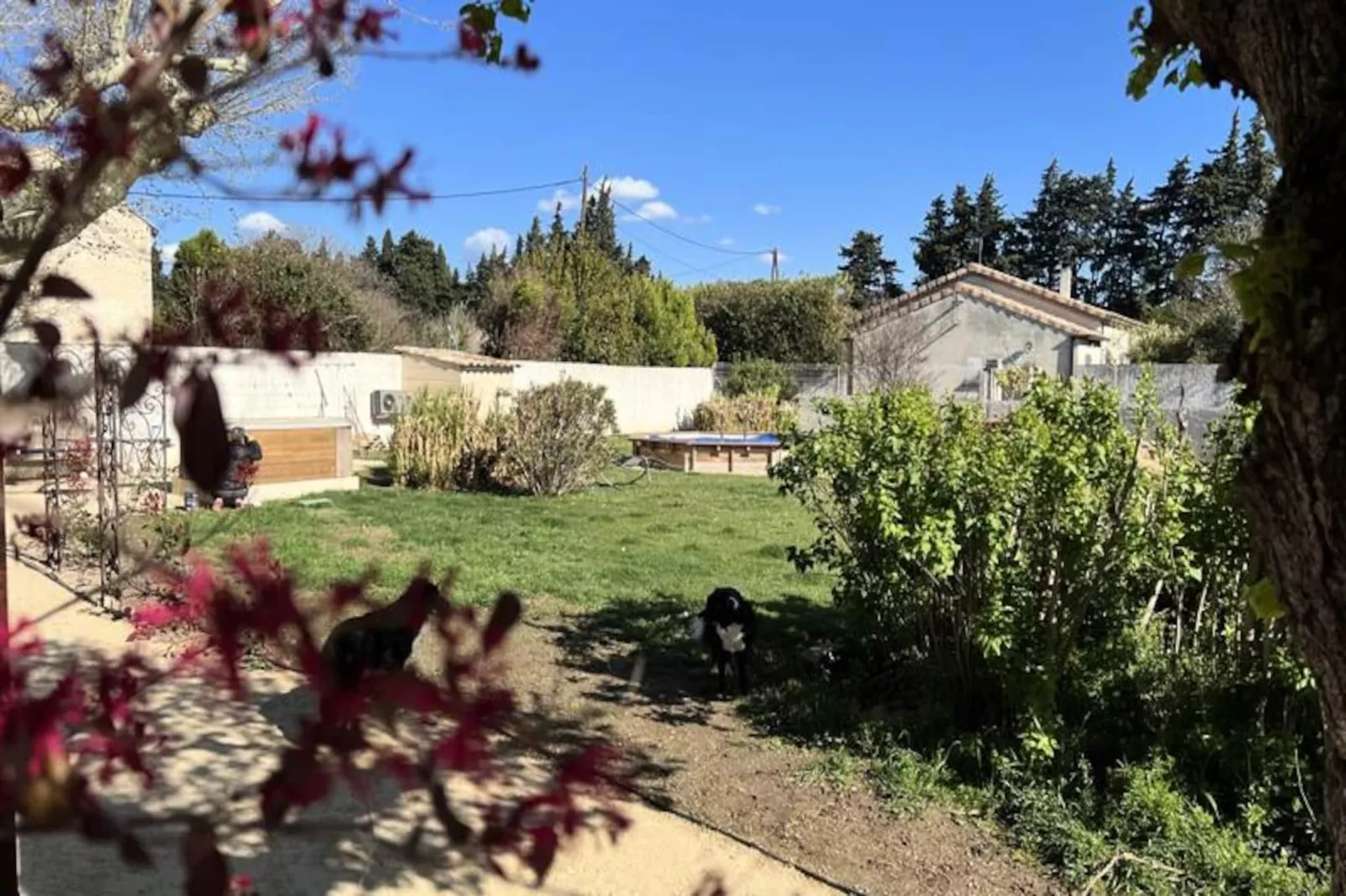 Appartement Lumineux Avec Piscine Et Spa-Image-tags.