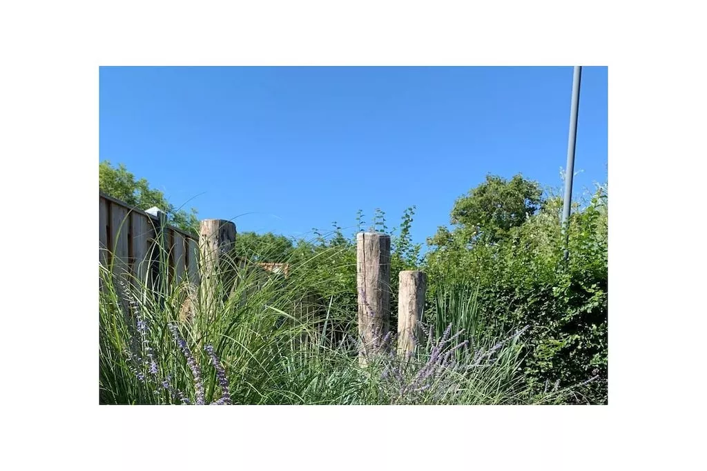 637765-Nicht zugeordnet