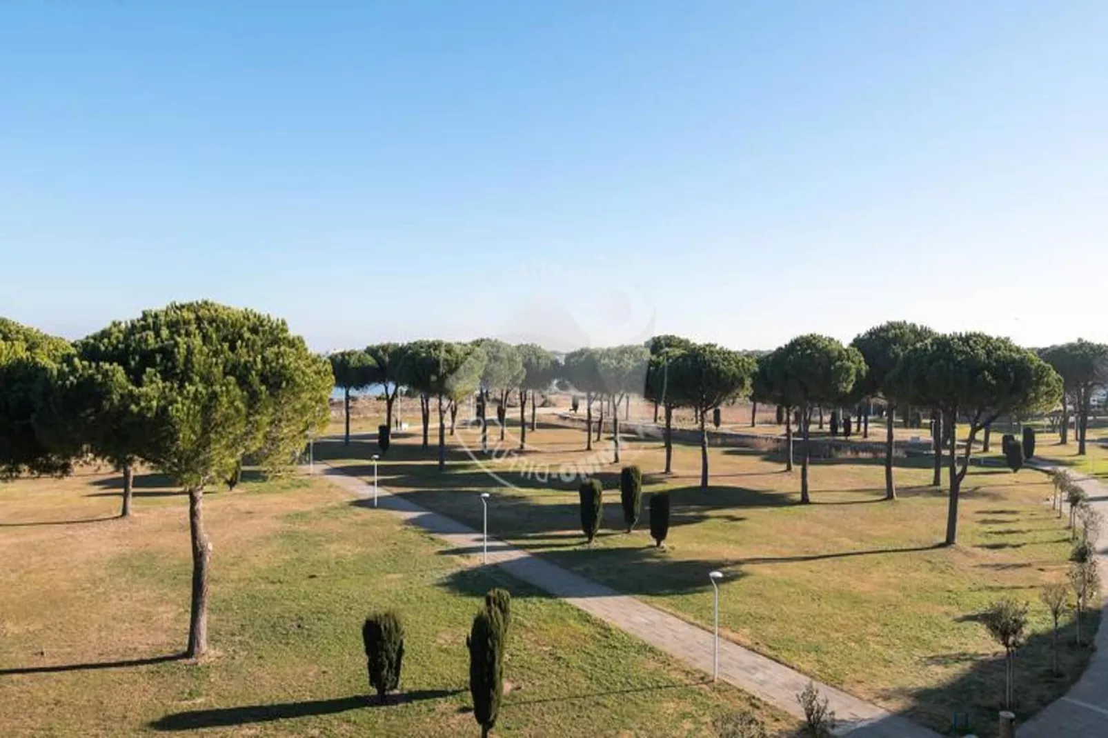 Résidence "le Mireille"-Jardins en été