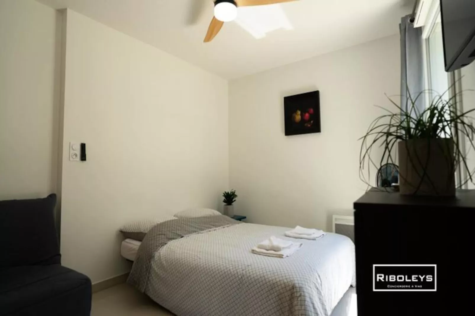 Vias-plage - Superbe T1 &agrave; 100m De La Plage-Image-tags.