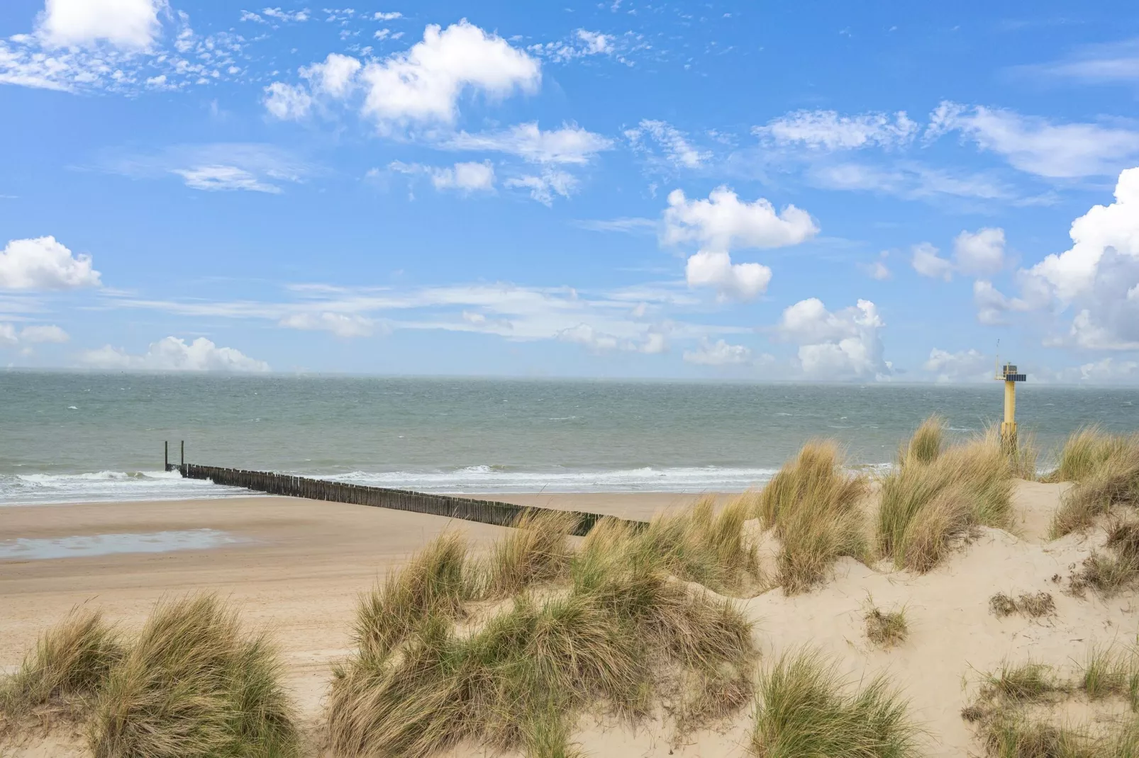 Stormvogel 1-Areas within 5km in summer