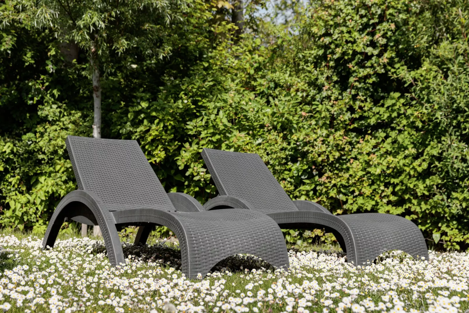 Vakantiepark Zeebad 7-Gardens summer