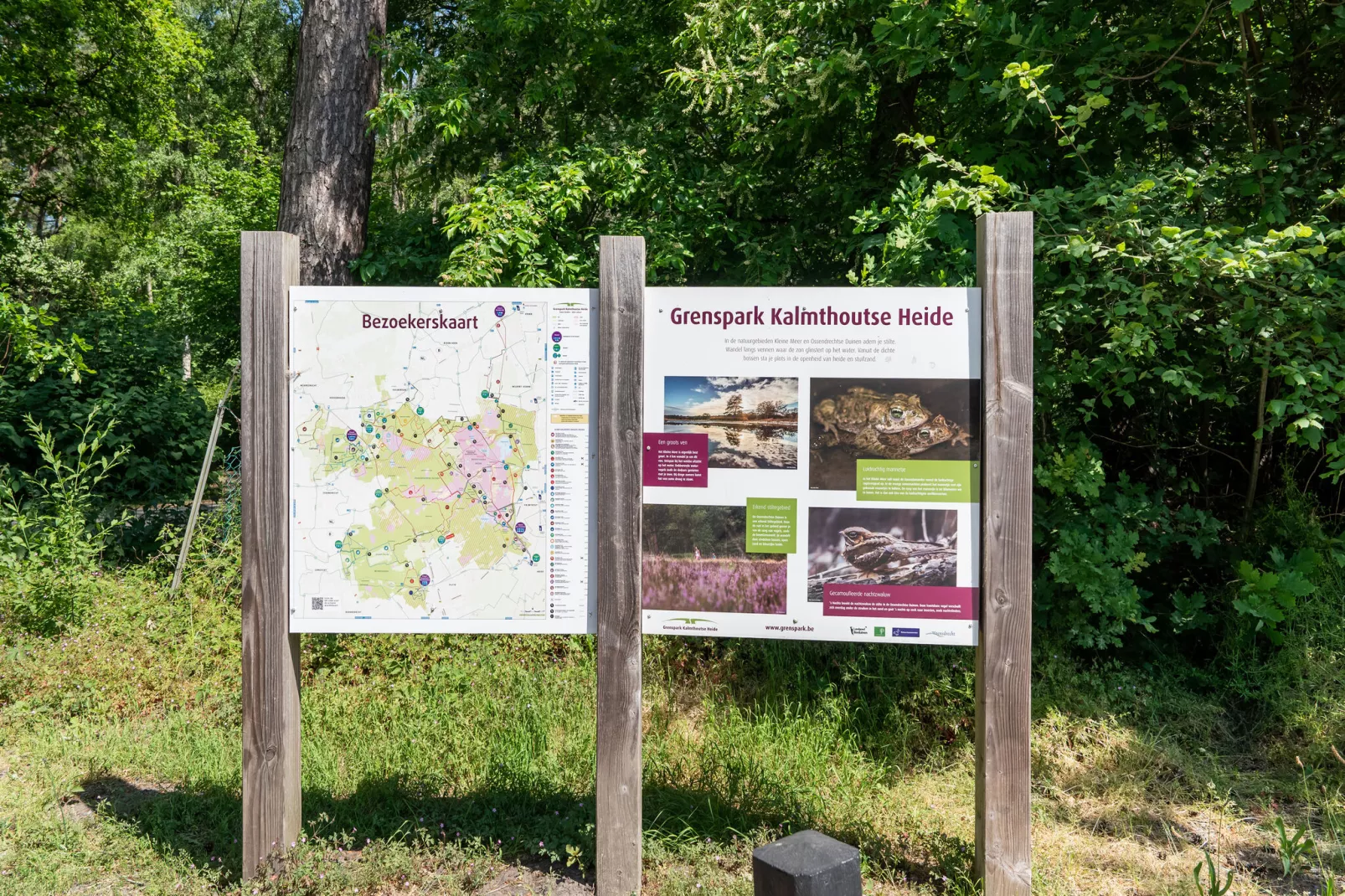 Het Haasje-Areas summer 5km