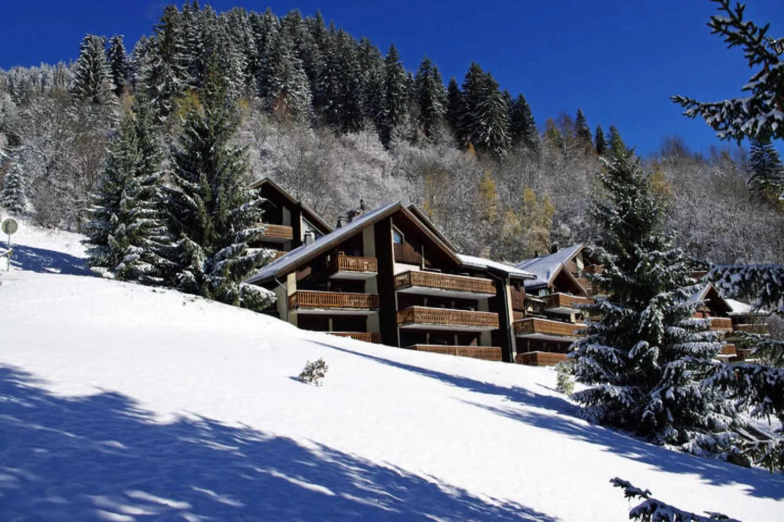 Résidence Dryades - Les Hauts De Planchamp-Exterior in winter