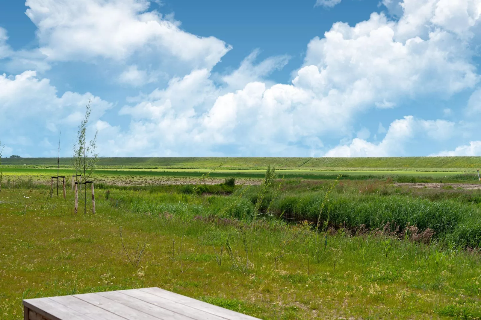 Wulpdal Huis Nr 51-View summer