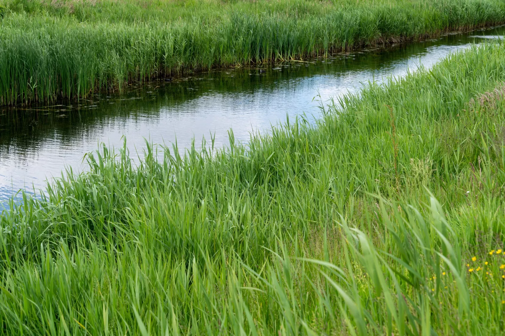 Wulpdal Huis Nr 51-Areas summer 1km
