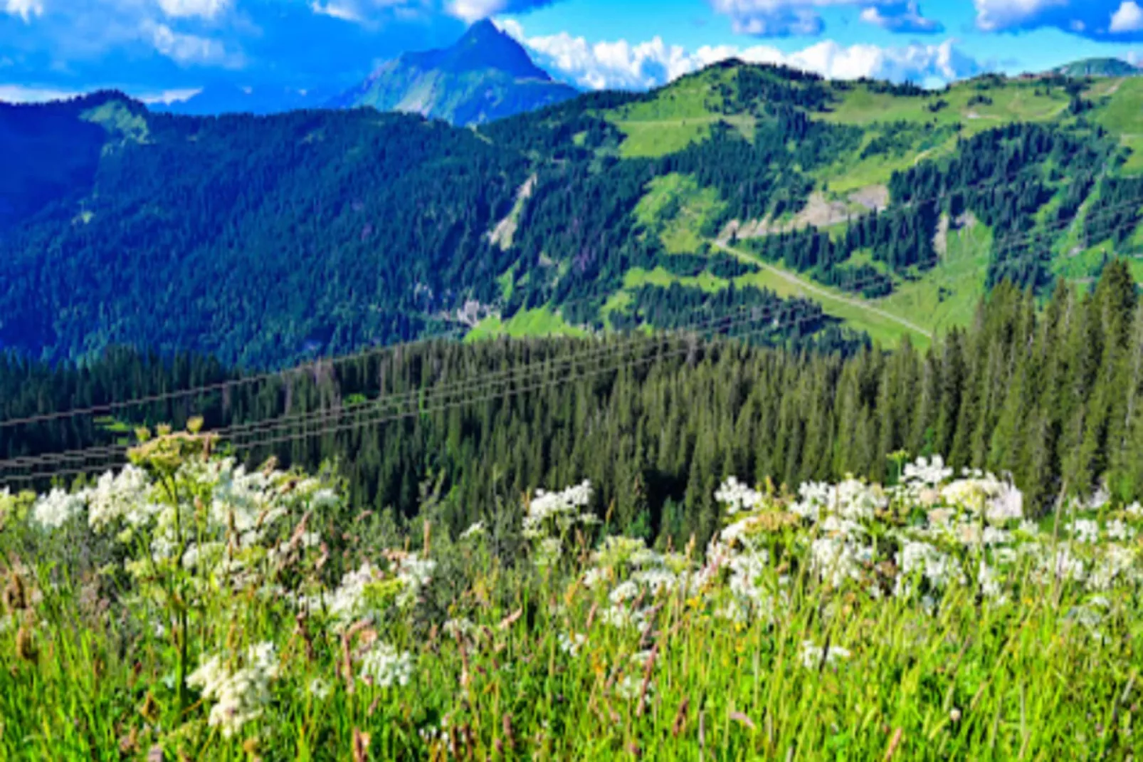Résidence Les Portes du Soleil - maeva Home-Extérieur été
