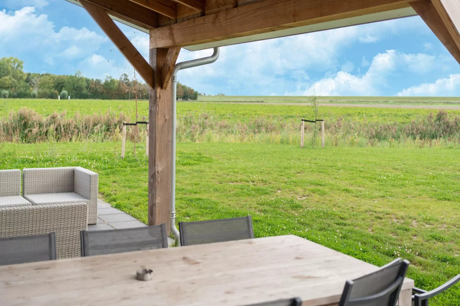 De Kluut Huis Nr 12-Gardens summer