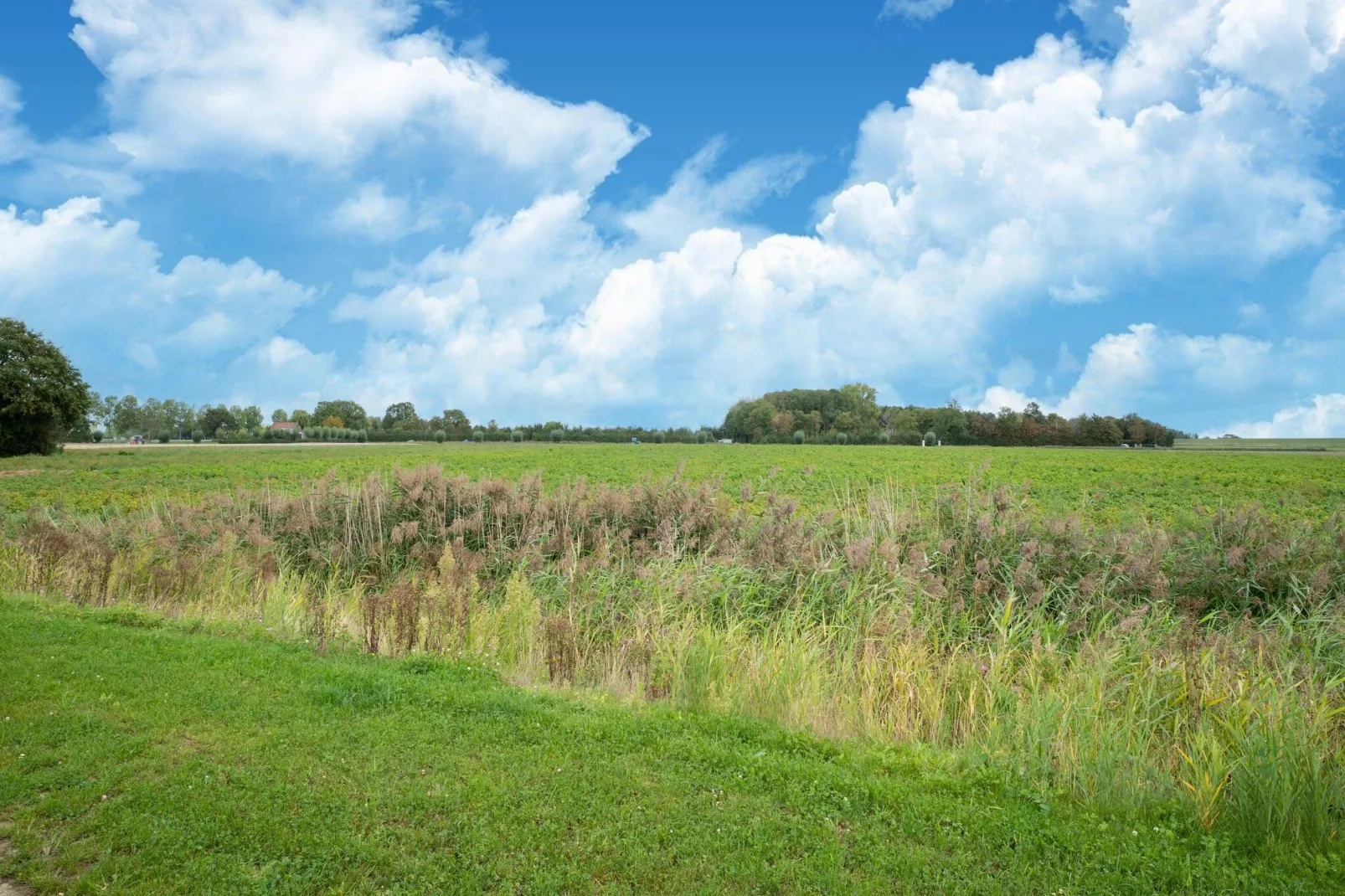 De Kluut Huis Nr 12-Areas summer 5km