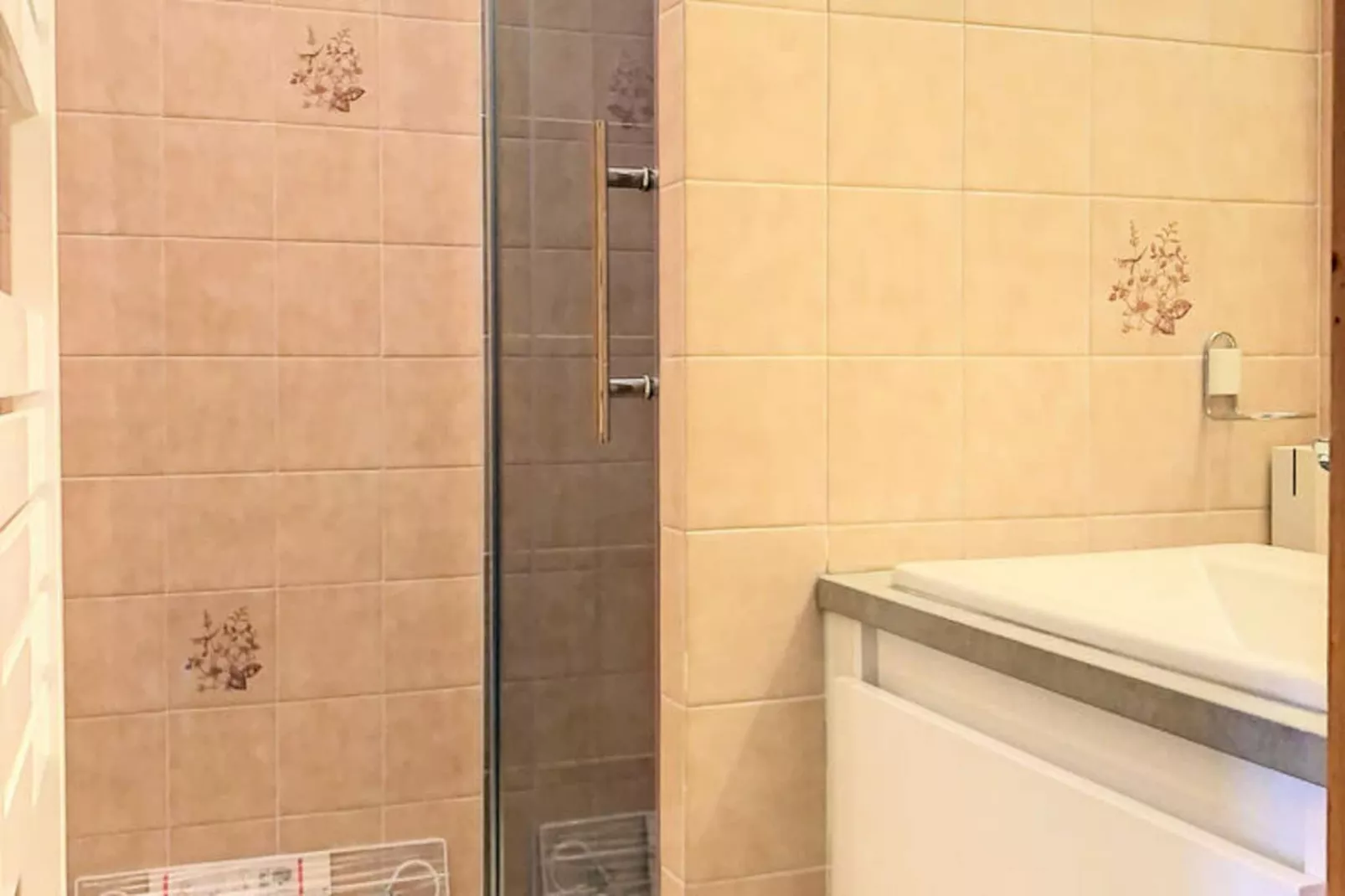 Studio à Les Carroz-d'Arâches-Image-tags.