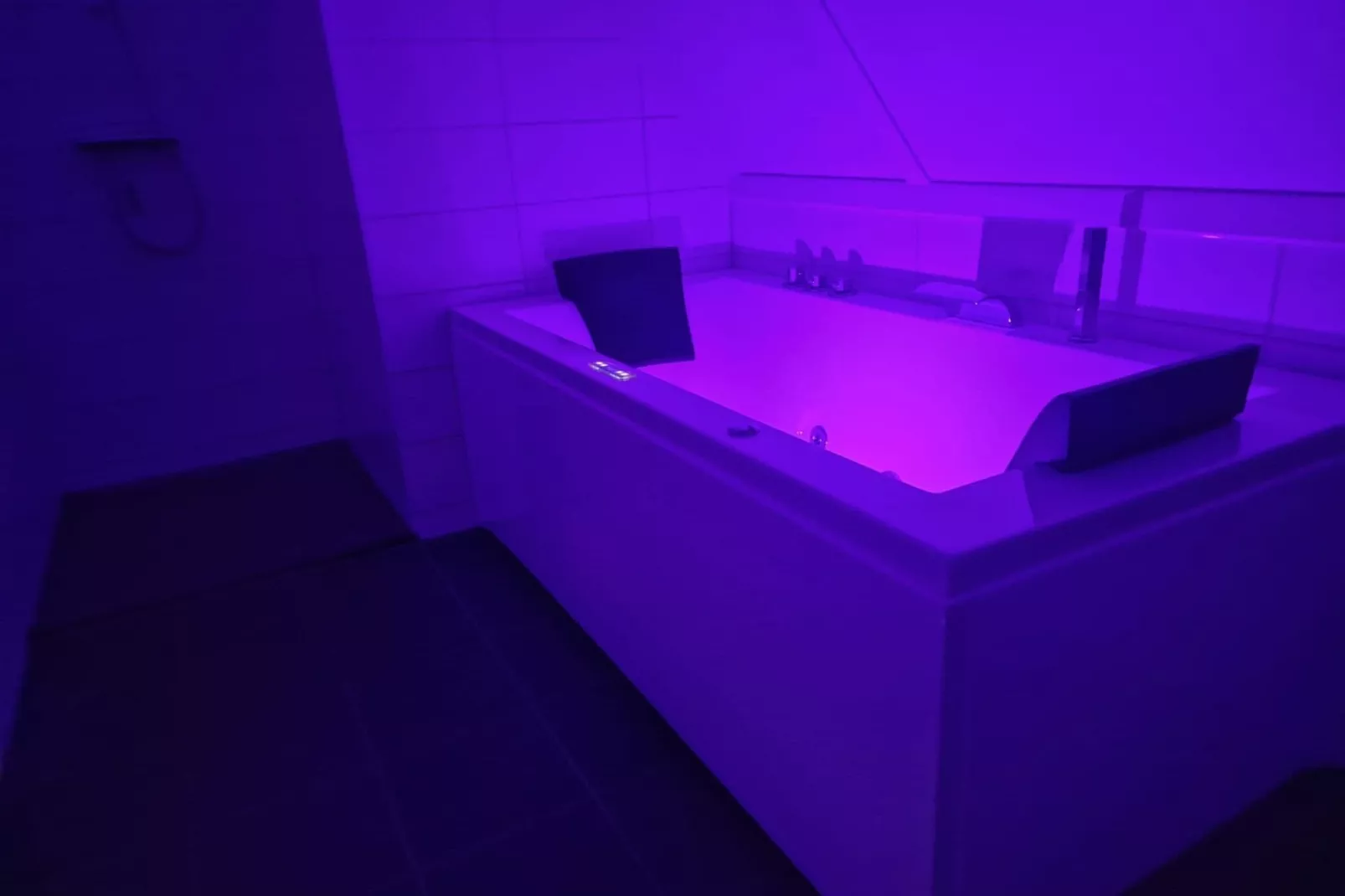 De Reiger Huis Nr 46-Bathroom