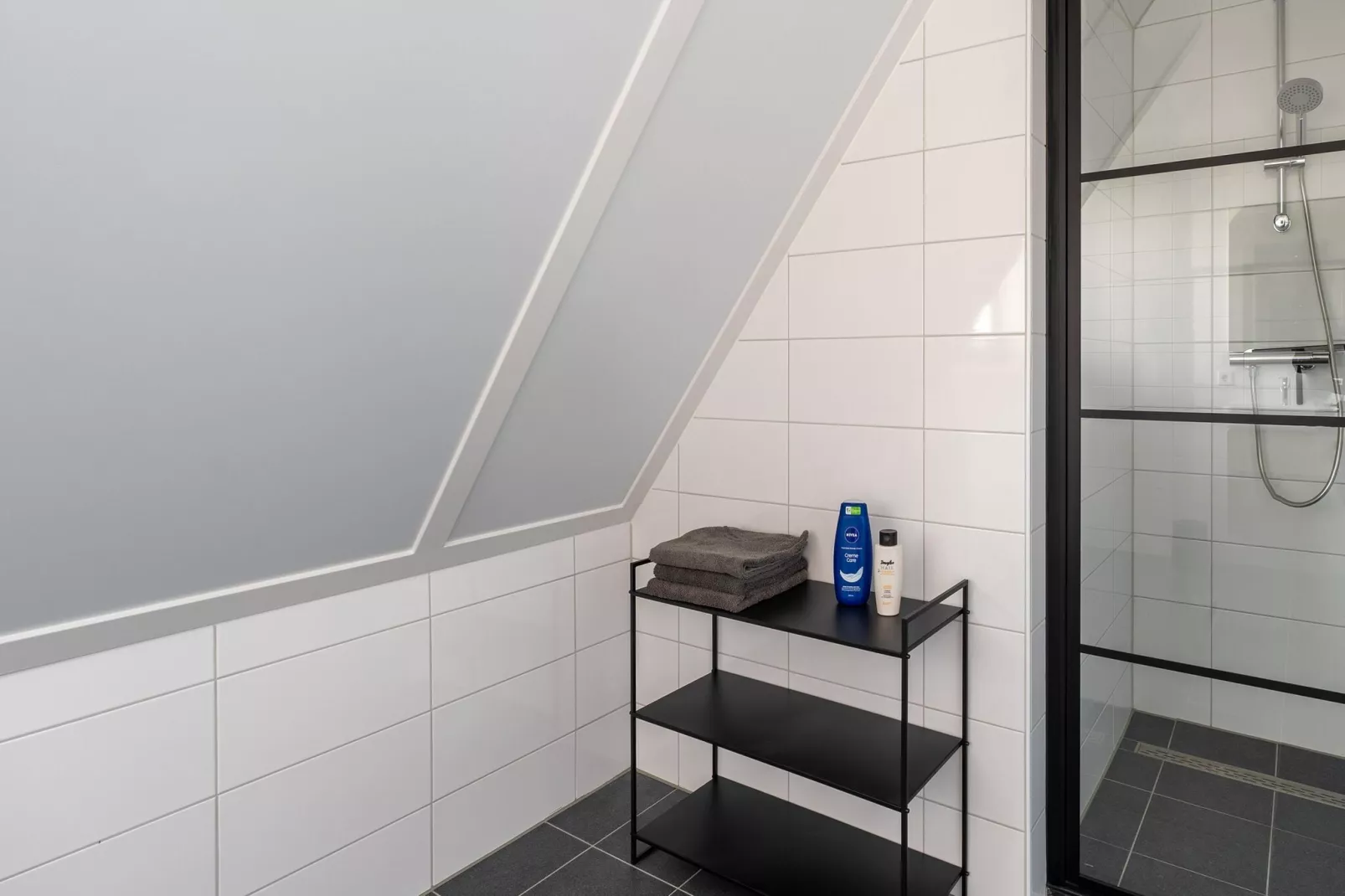 De Zeemeeuw Huis Nr 54-Bathroom