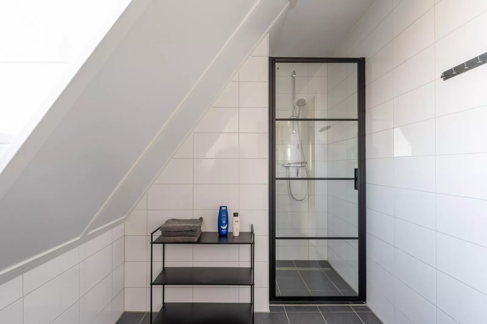 De Zeemeeuw Huis Nr 54-Bathroom