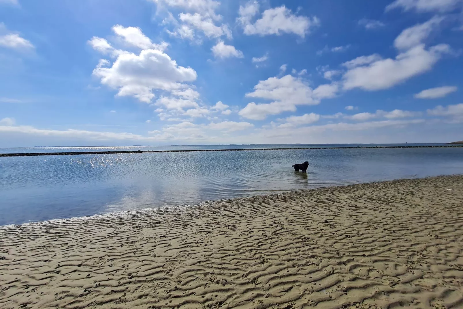De Strandloper Huis Nr 30-Areas summer 5km