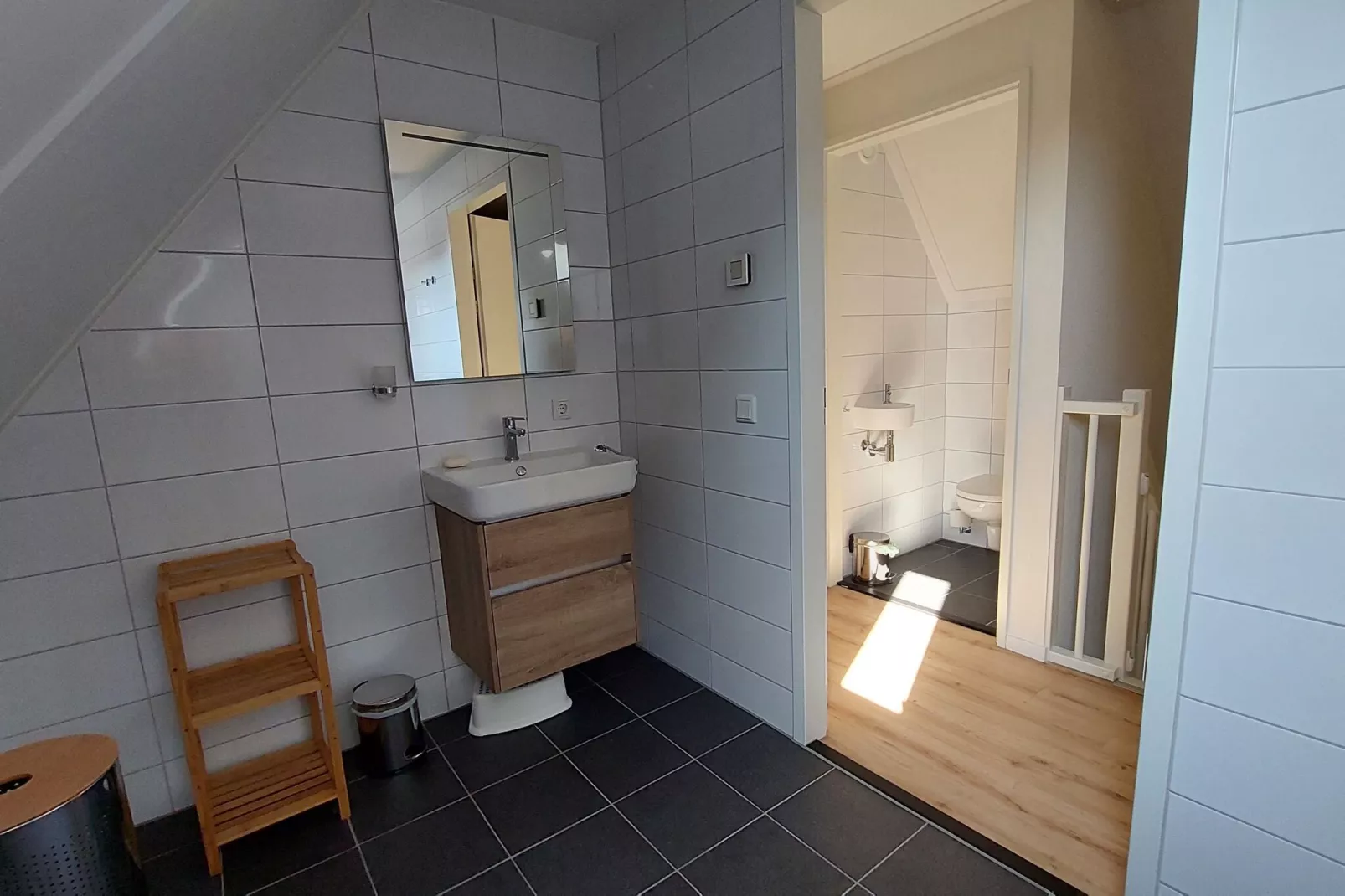 De Meerkoet Huis Nr 37-Bathroom