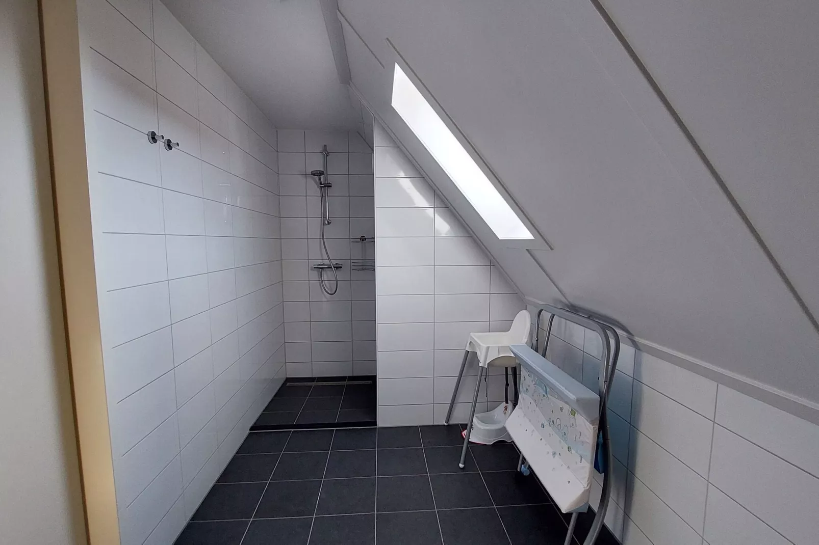 De Meerkoet Huis Nr 37-Bathroom