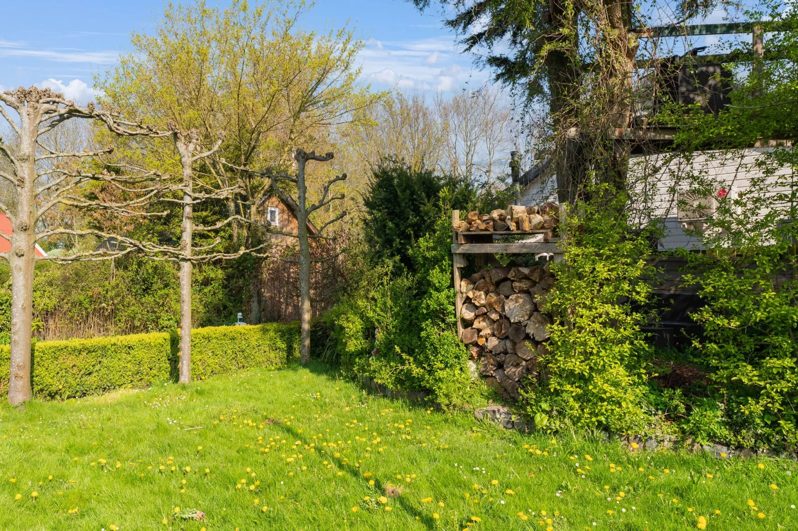De Tjiftjaf Huis Nr 21-Gardens summer