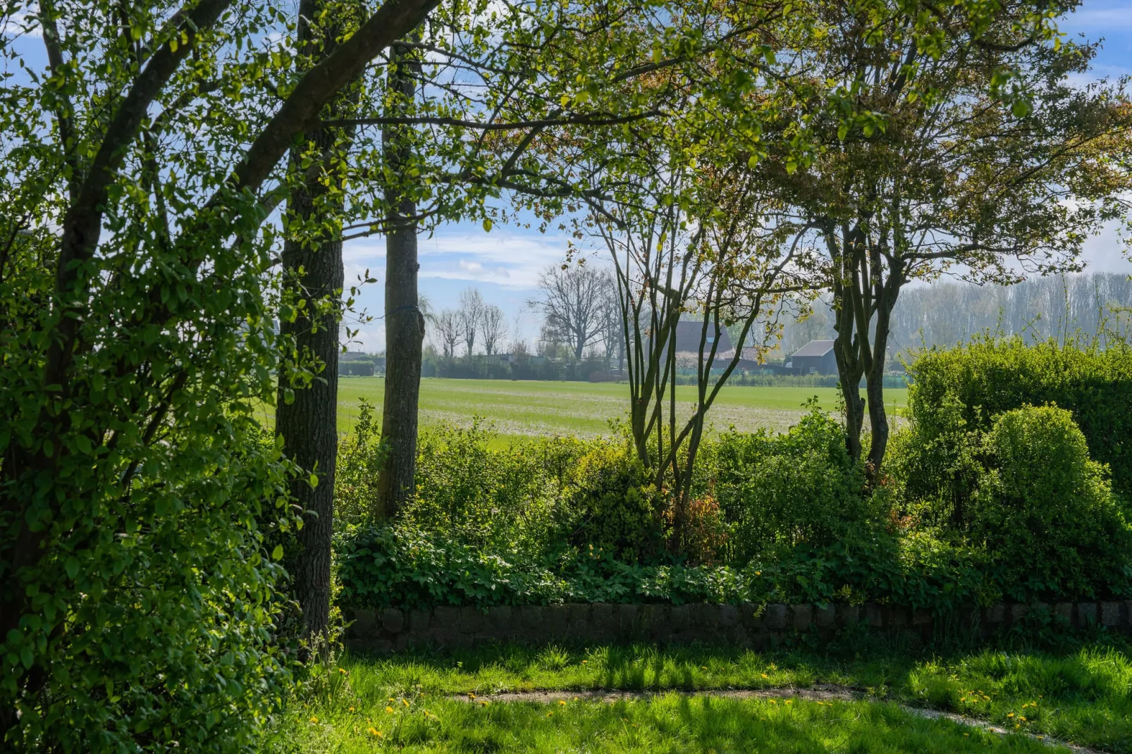 De Tjiftjaf Huis Nr 21-View summer