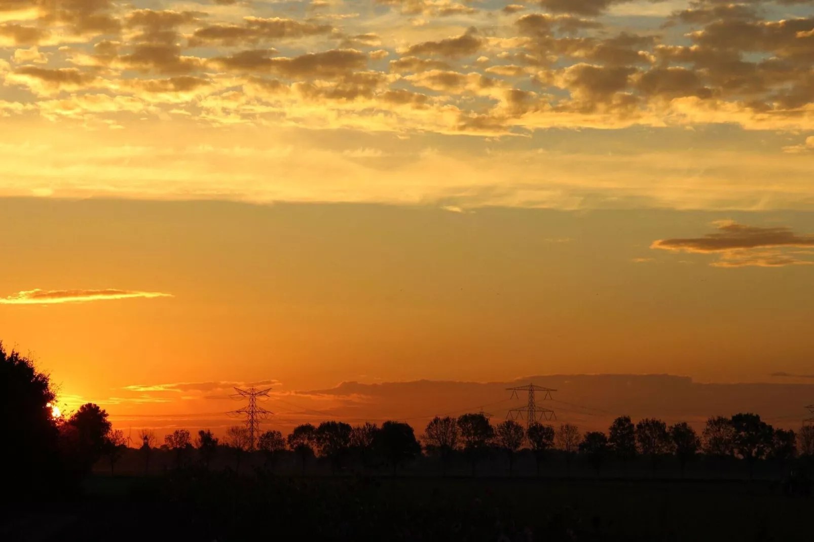 Het Biesbosch huisje-Gebiete Sommer 1 km