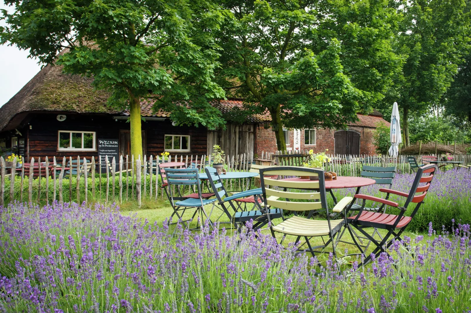 Landhoeve buitenman-Gardens summer
