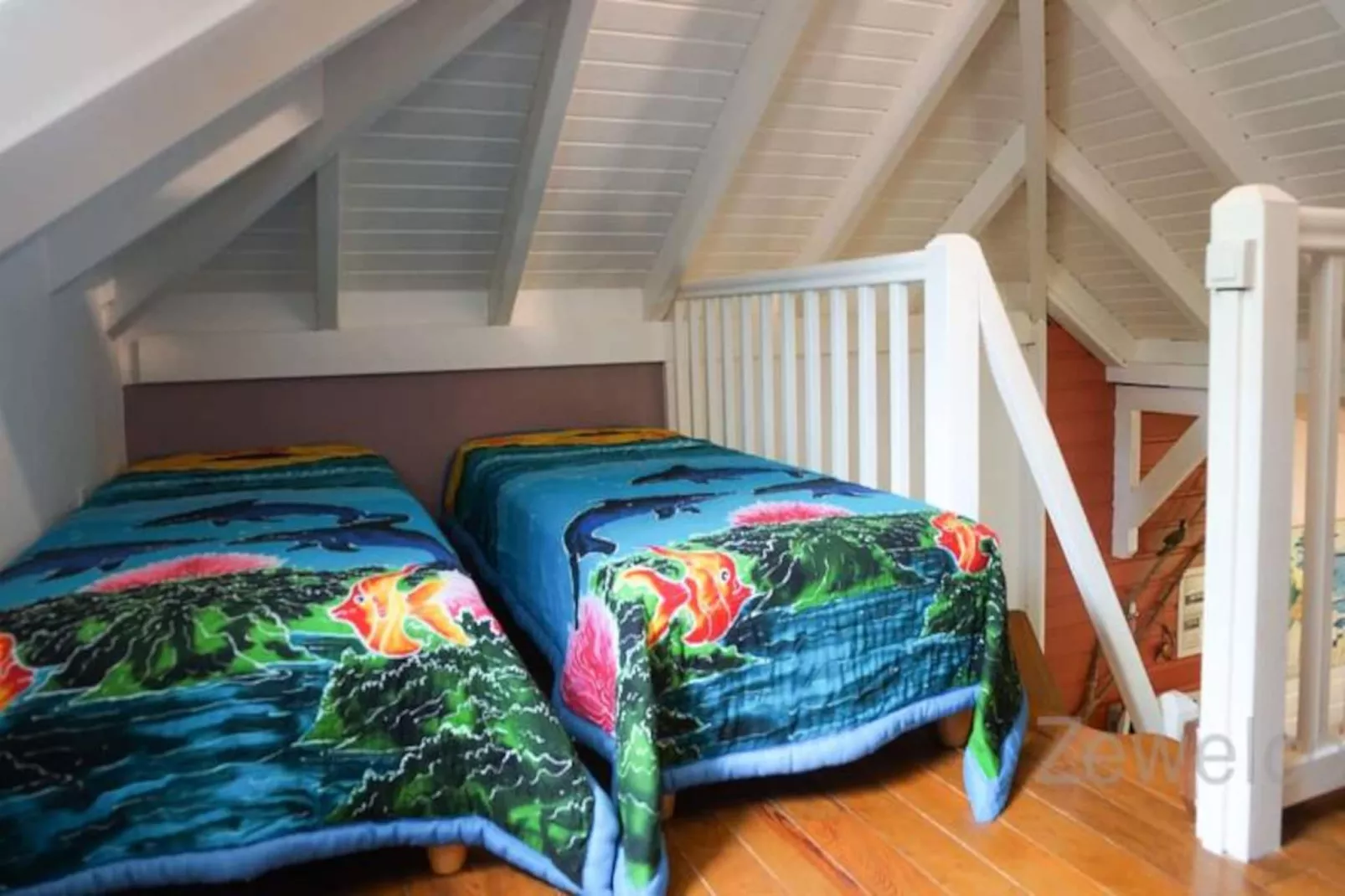 Bungalow Pitaya-Image-tags.