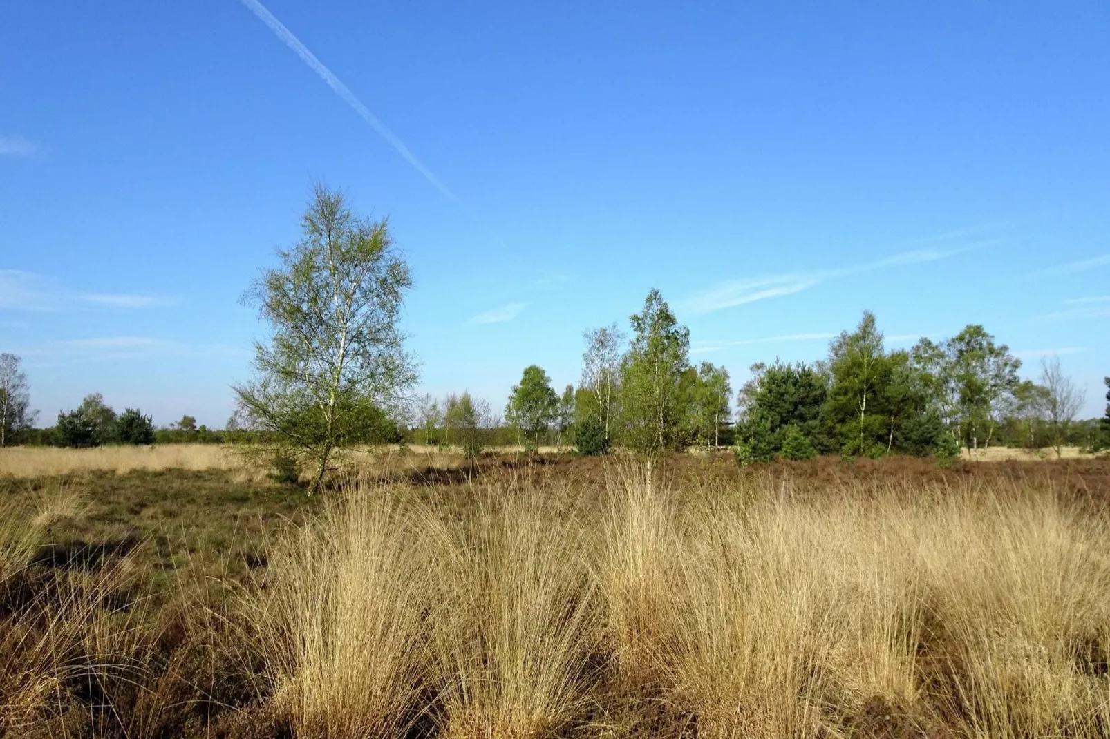 Landhoeve buitenman-Areas summer 5km