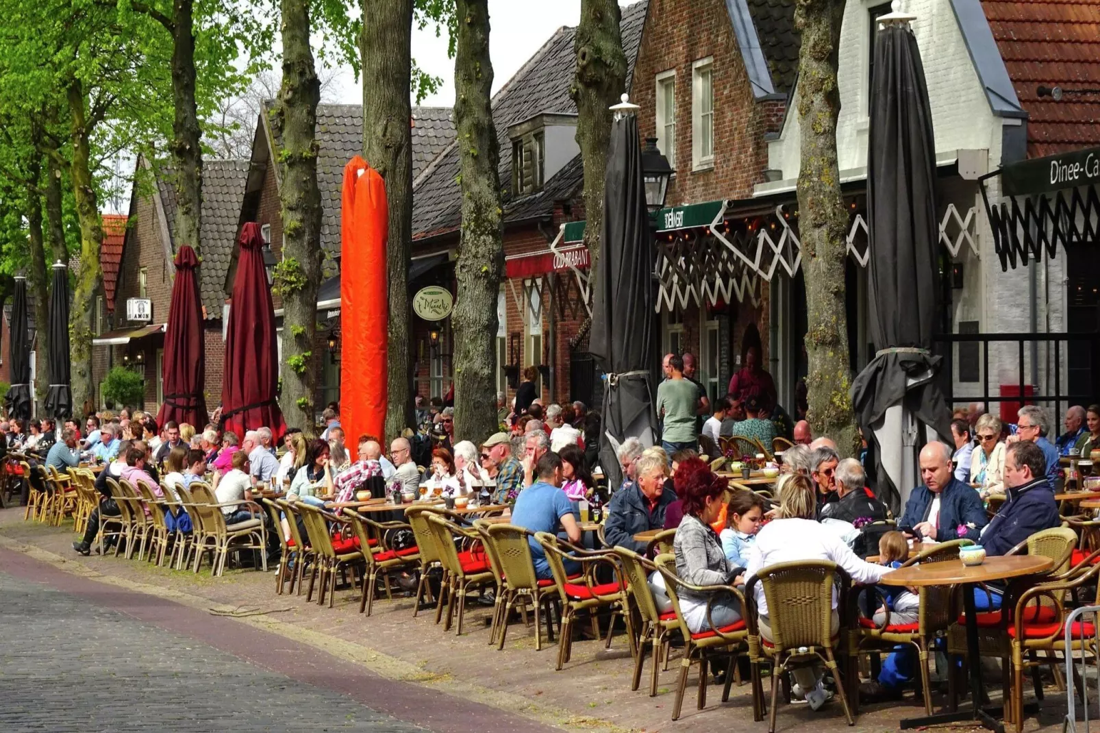 Landhoeve buitenman-Areas summer 20km