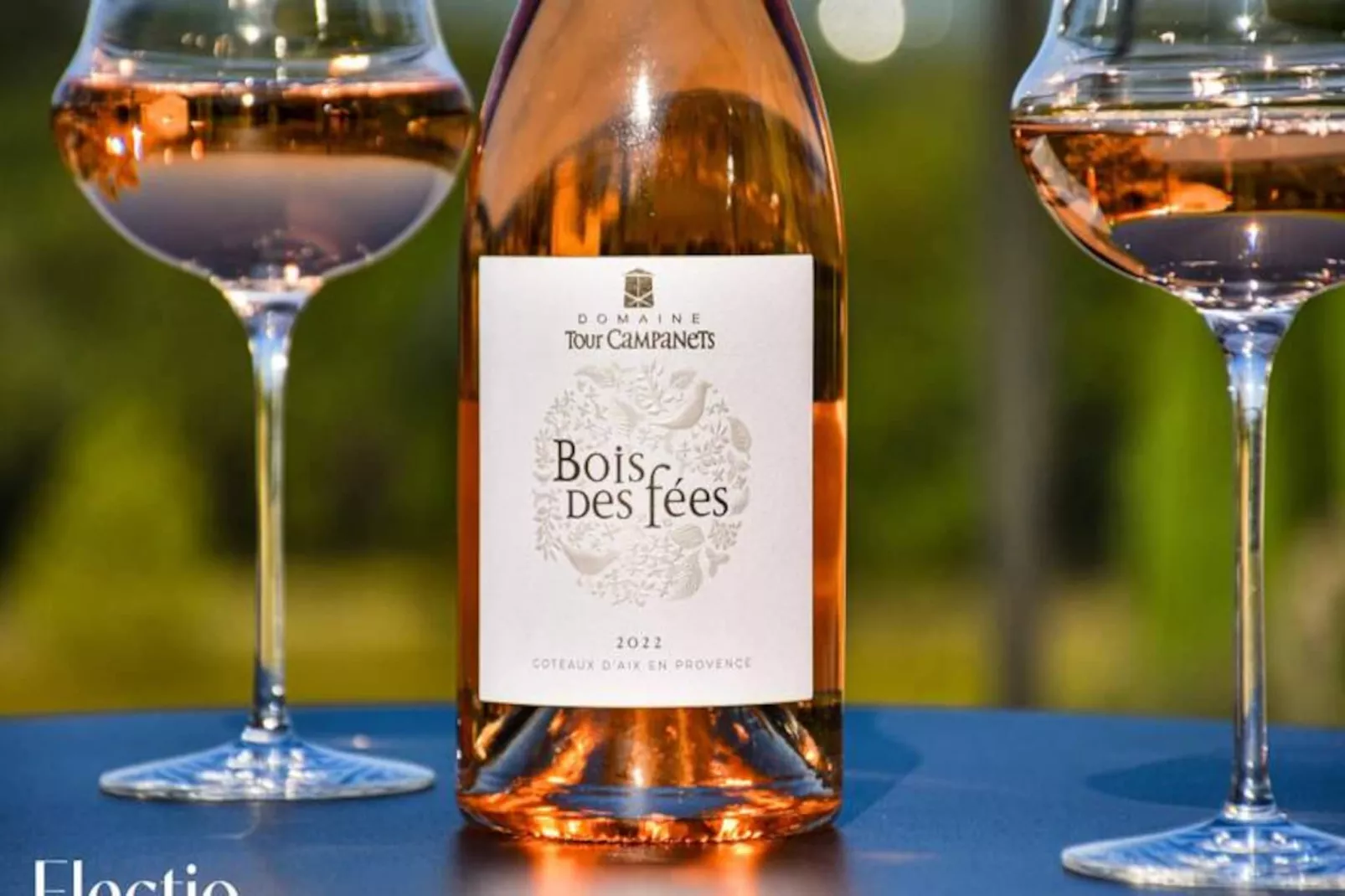 Petite Bastide | Domaine Tour Campanets-Image-tags.