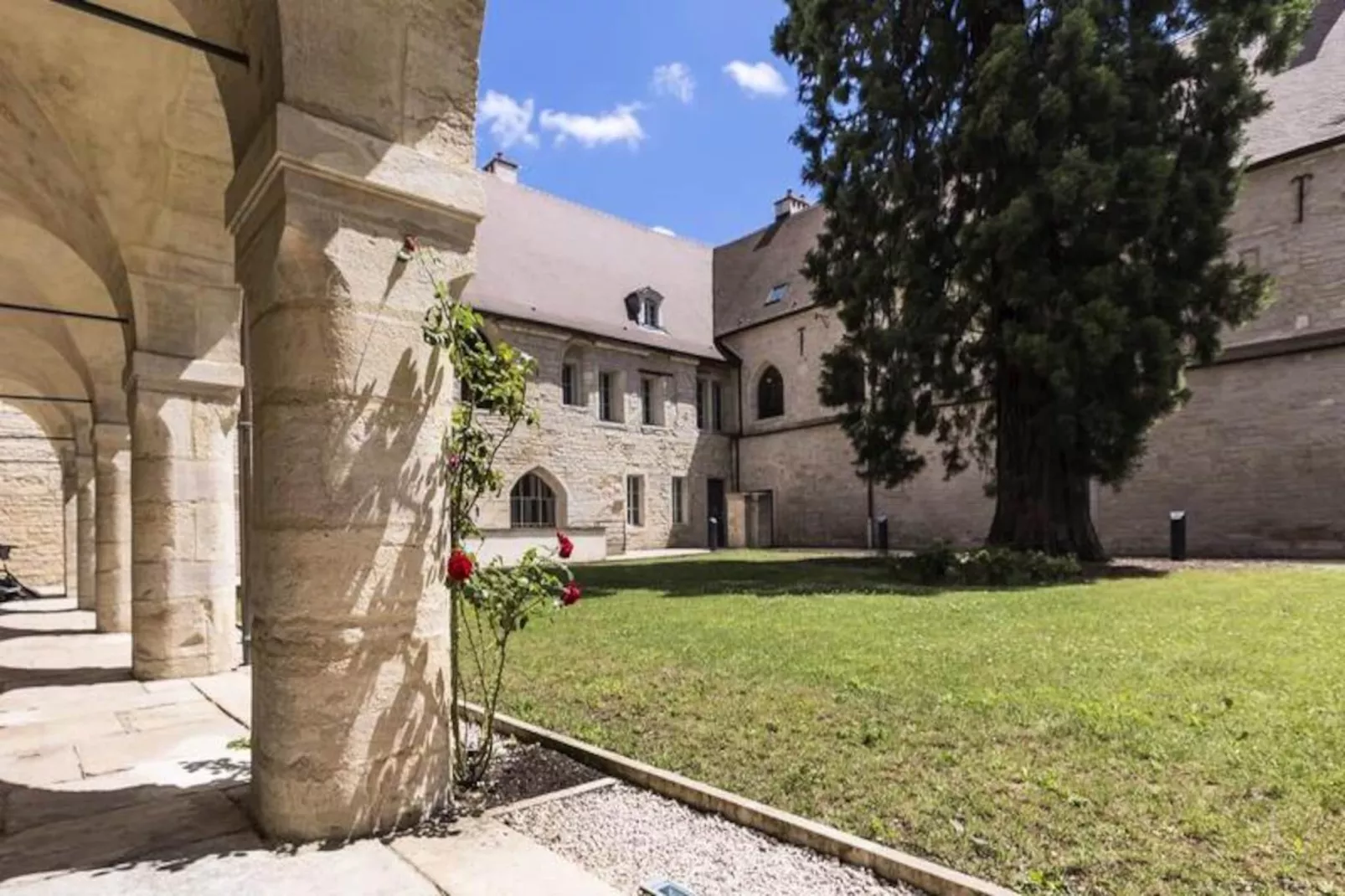 Appart'hôtel Odalys Les Cordeliers-Image-tags.