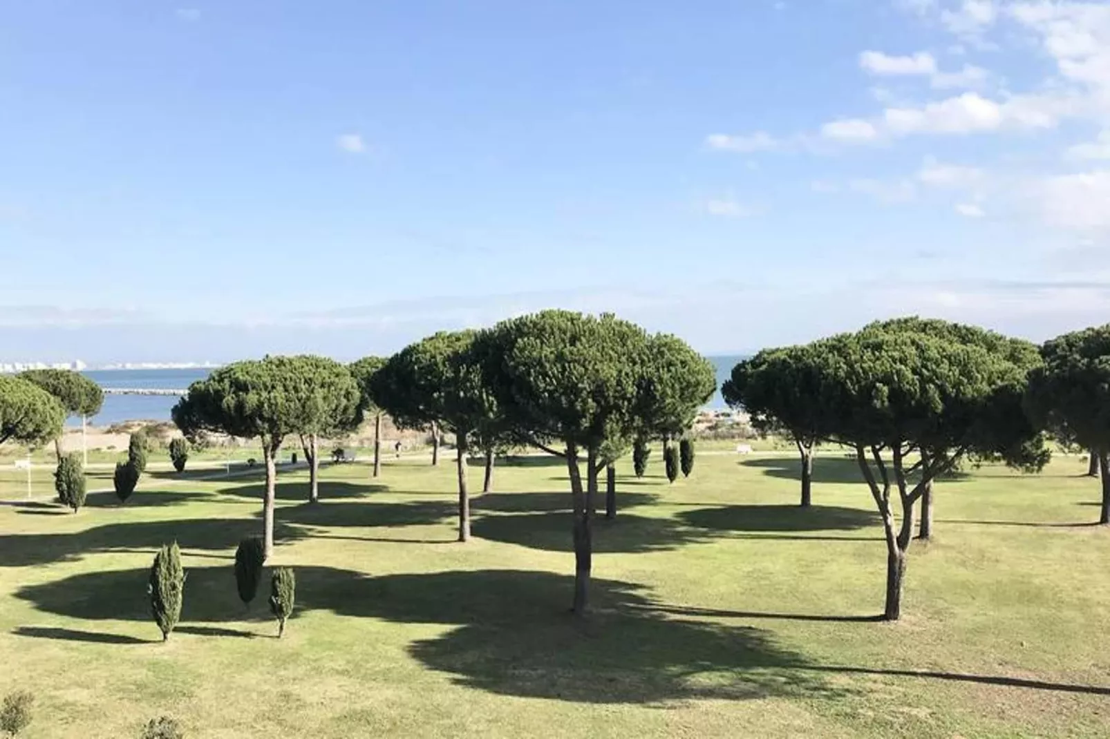 Résidence "le Mireille"-Jardins en été