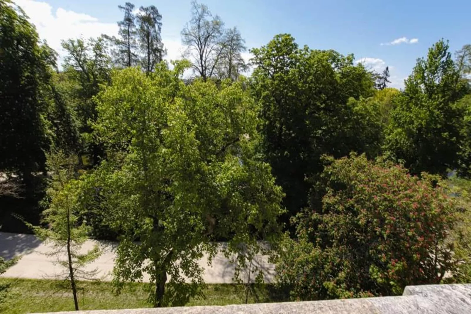 Maison Labruy&egrave;re - Suite Cosy Jardin-Exterior in summer