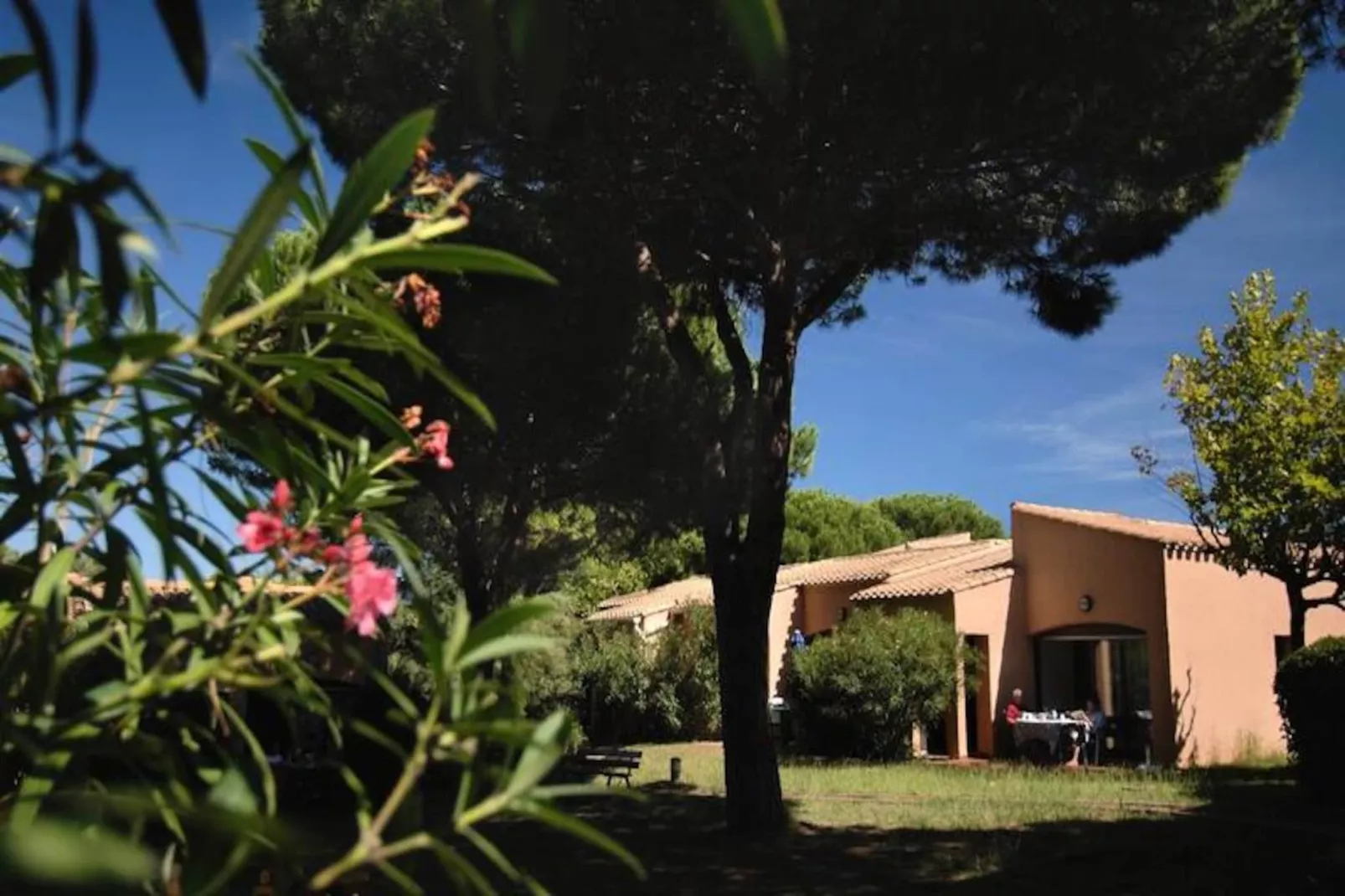 Résidence Odalys Saint Loup-Image-tags.