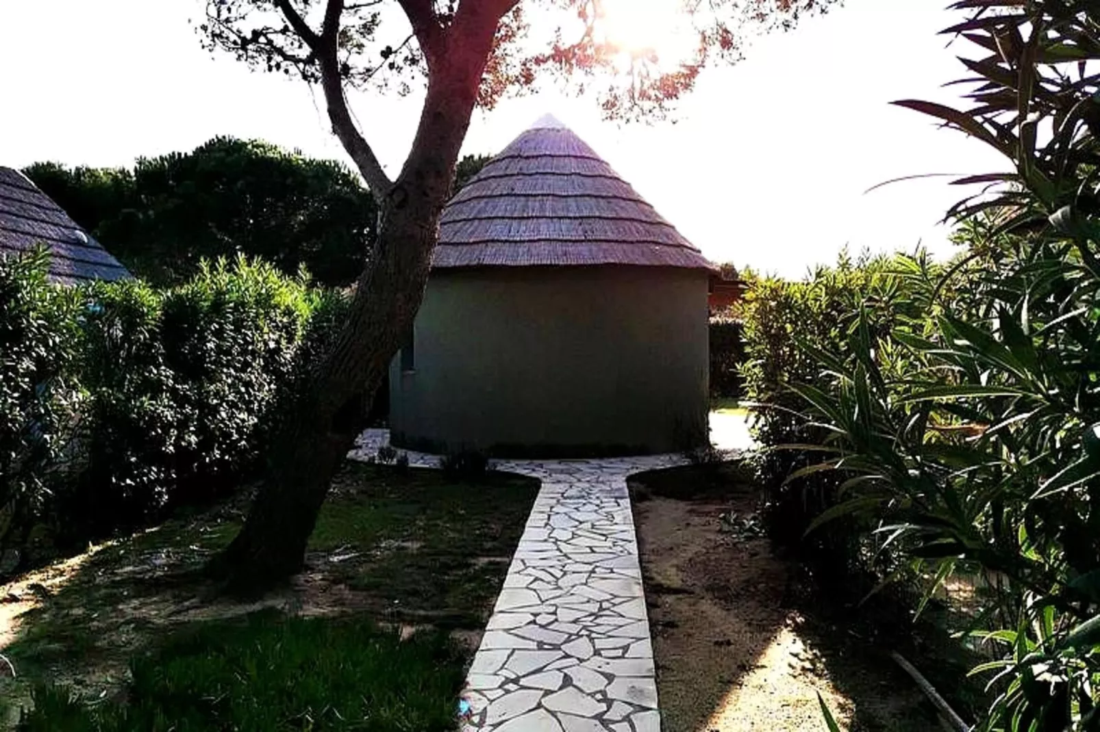 Résidence Ile Des Pecheurs-Exterior in summer