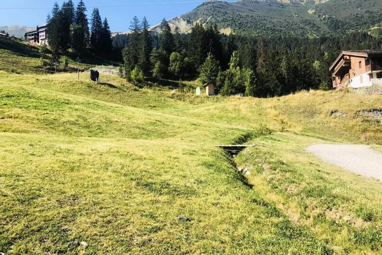 Résidence Lauzes - Areas within 1km in summer