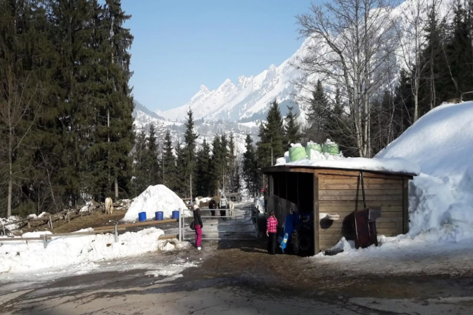 Résidence Les Cimes*****-Area within 5km in winter