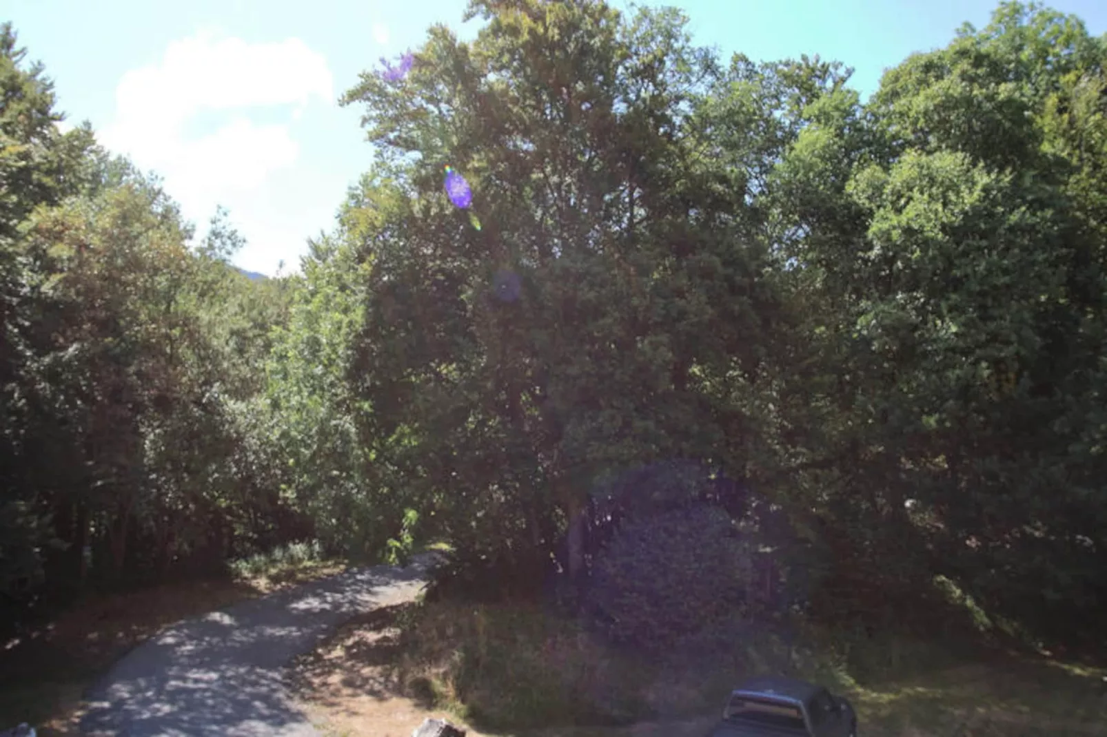 Appartements à Les Carroz-d'Arâches-Image-tags.